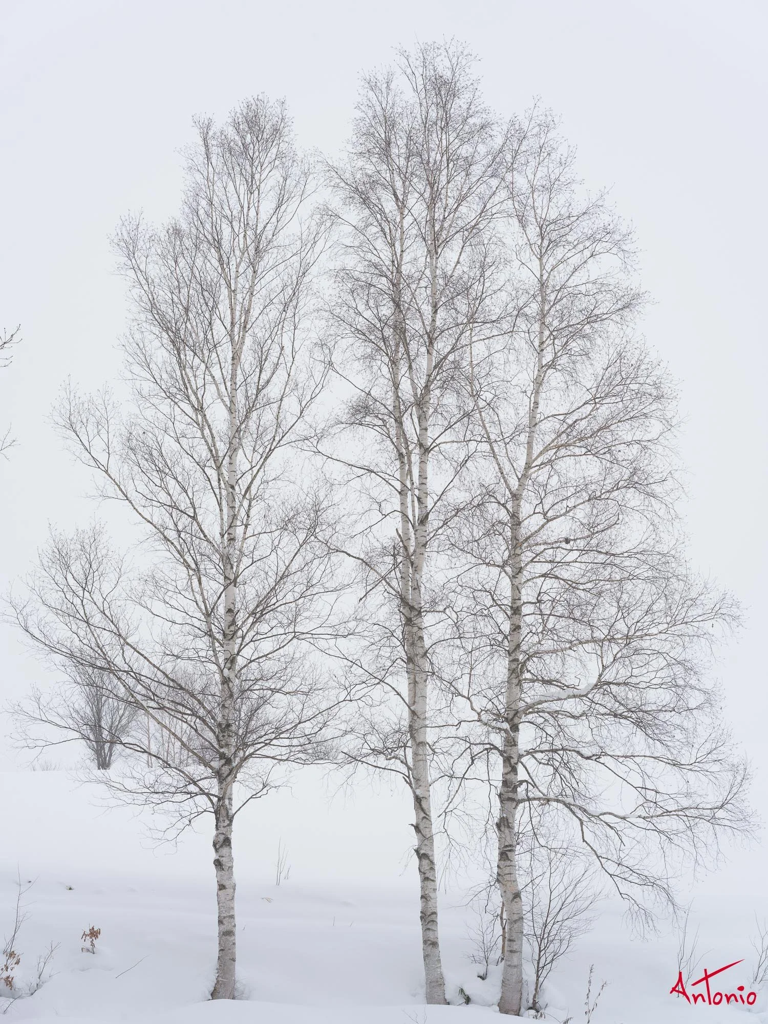 20240110_100018 B0003270 Hokaido.jpg