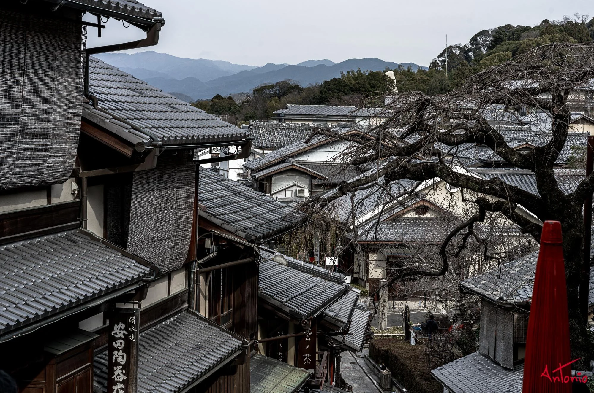 20240103_111549 B0001537 Kyoto.jpg