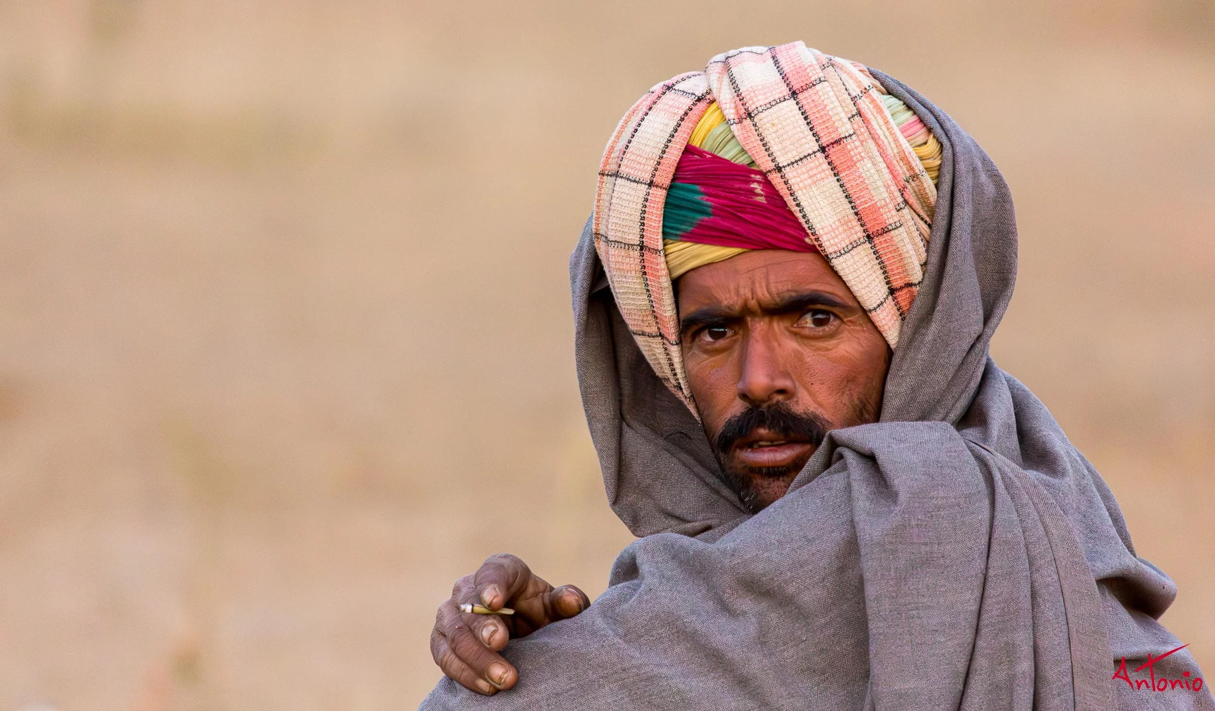 20121124_174914 Pushkar-Enhanced-NR.jpg