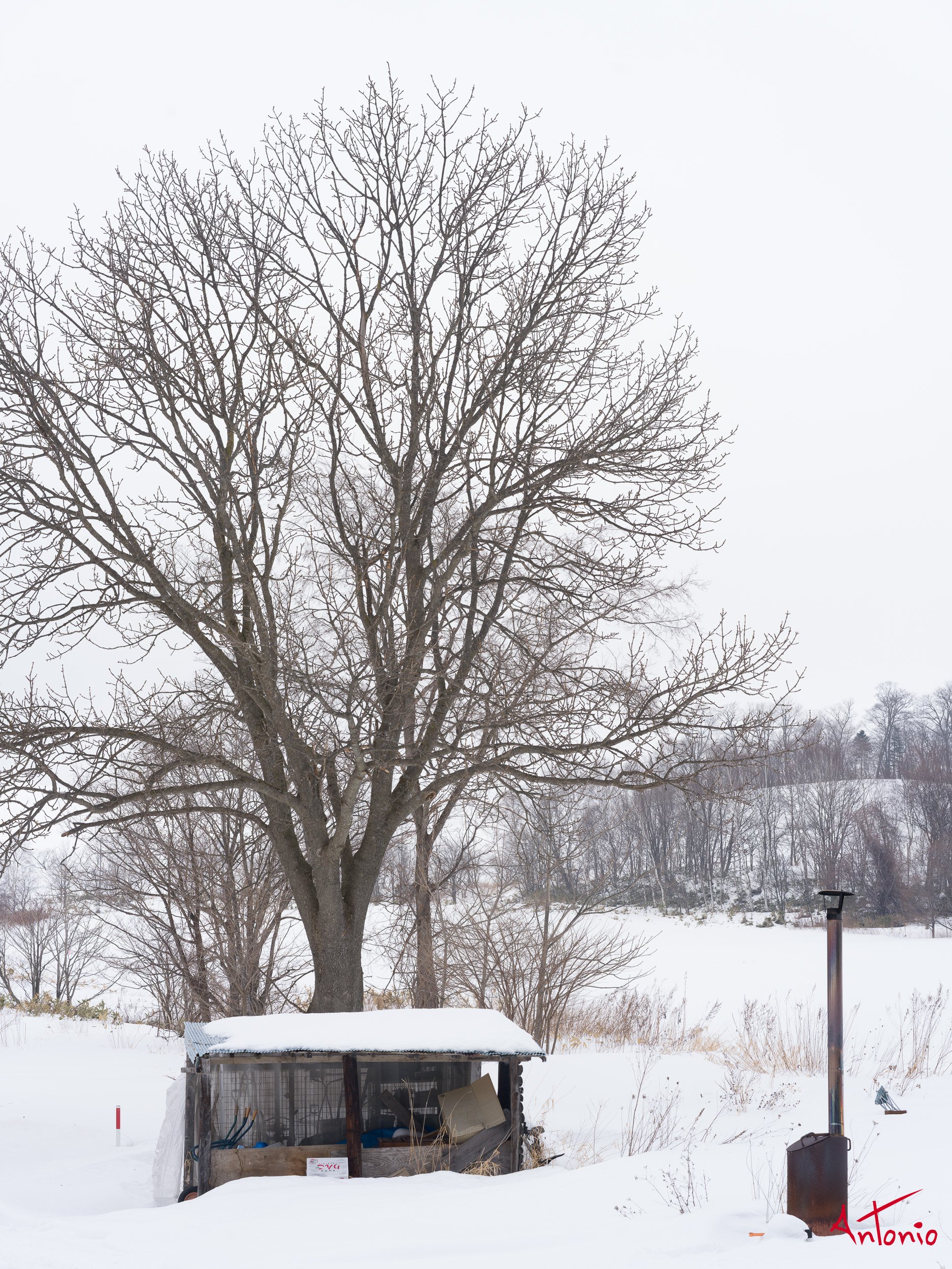 20240117_232816 B0004875 Hokaido, Japan.jpg