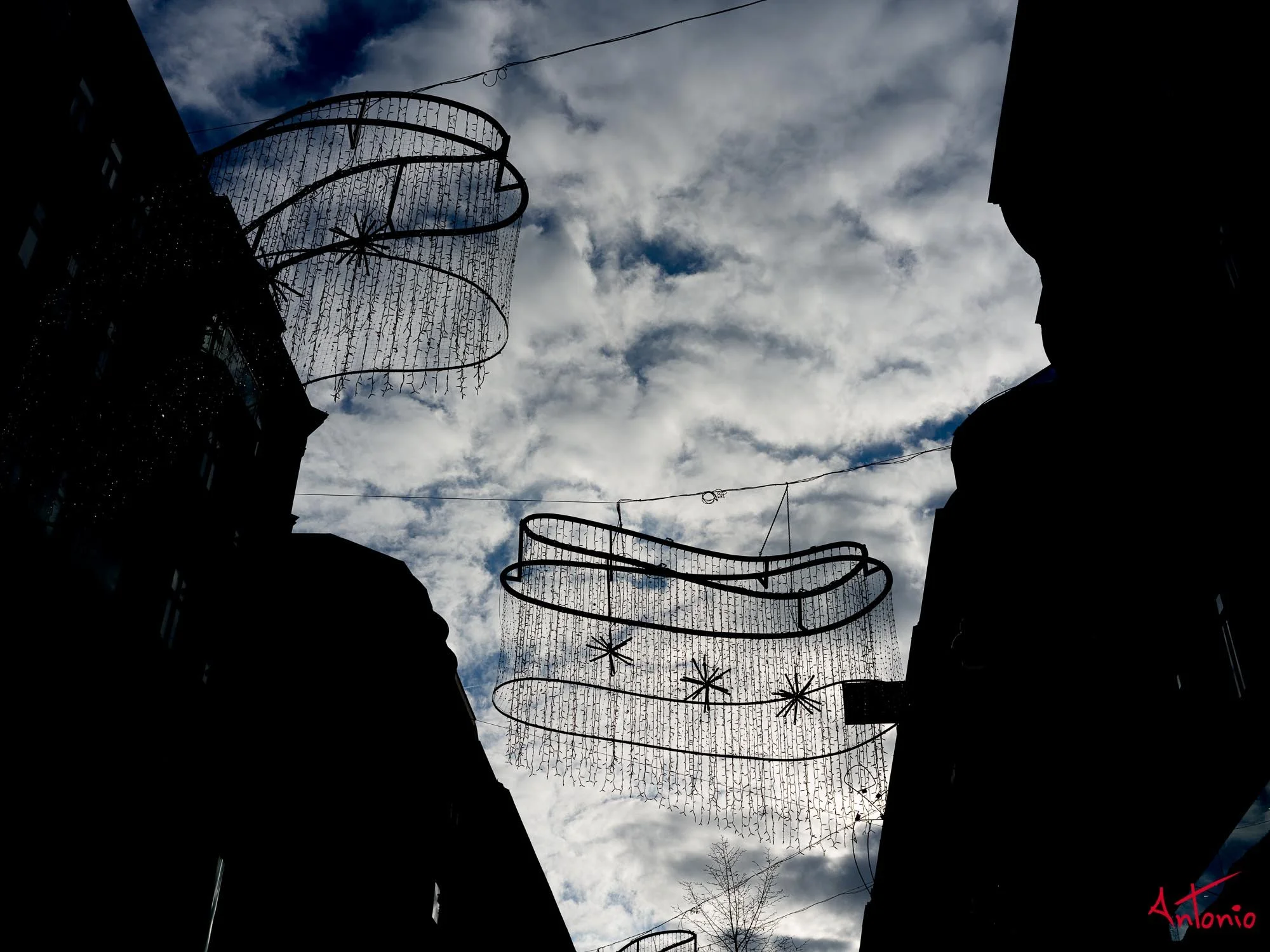 20221127_124526 B0000138 Viena.jpg