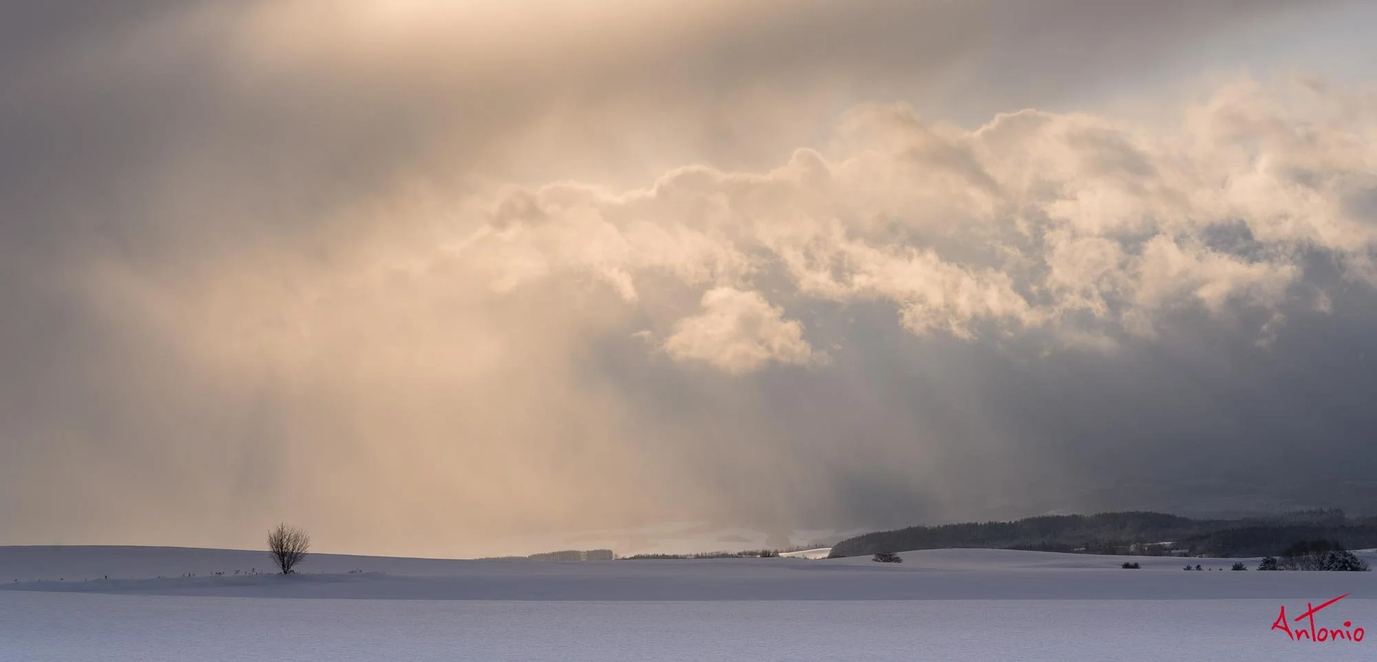 20240108_142200 B0002975 Hokaido.jpg