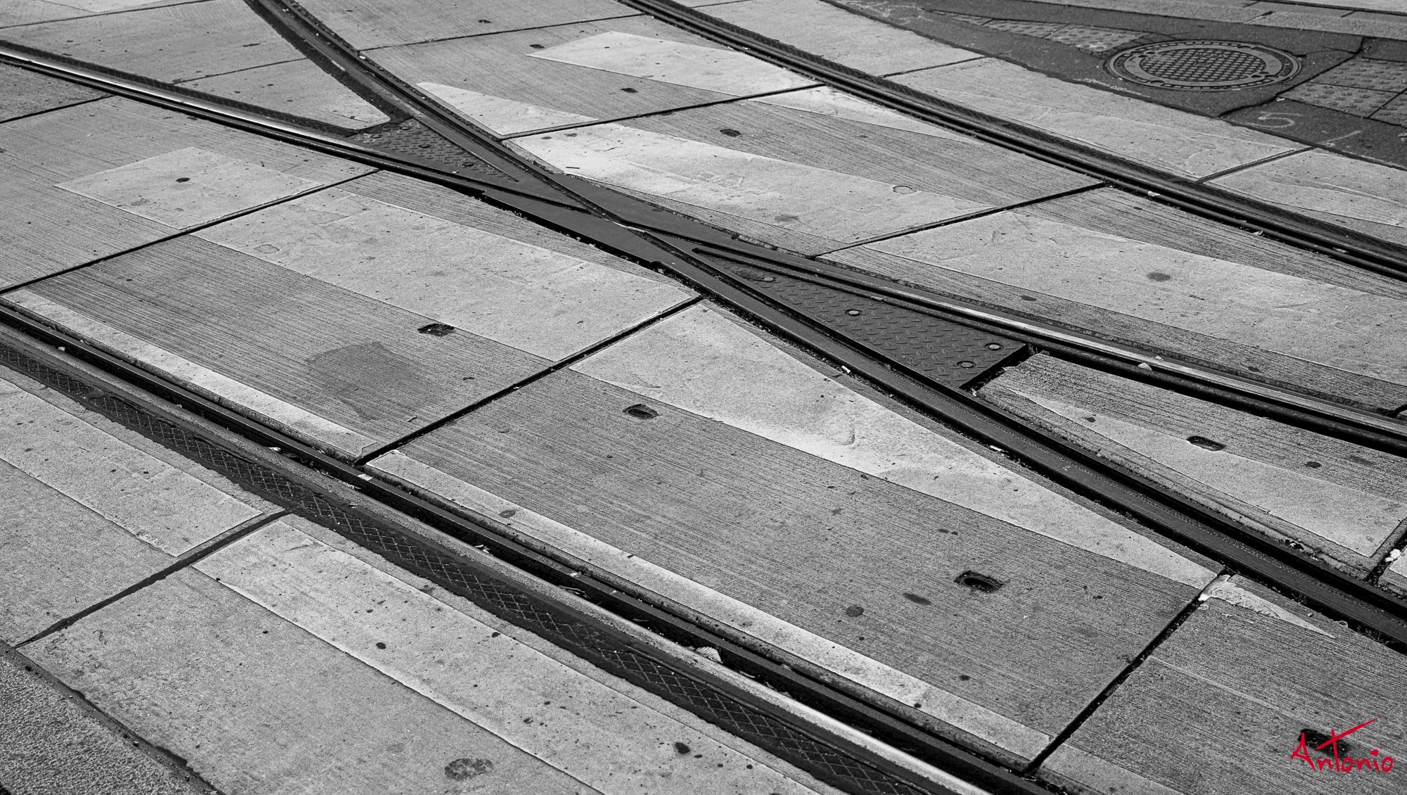 20221129_112600 B0000238 Viena.jpg