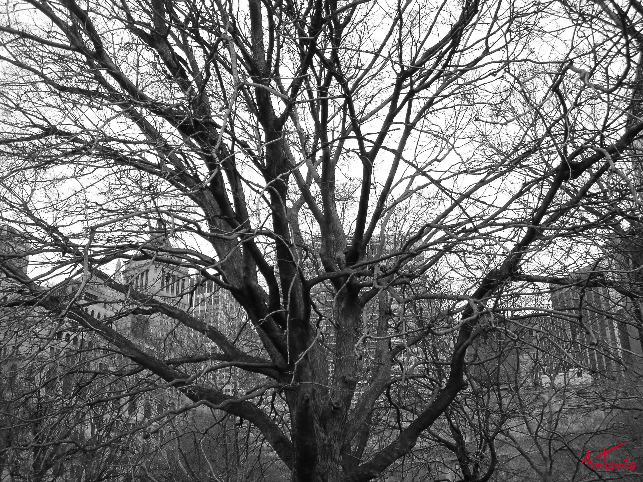 20050321_141212 New York.jpg