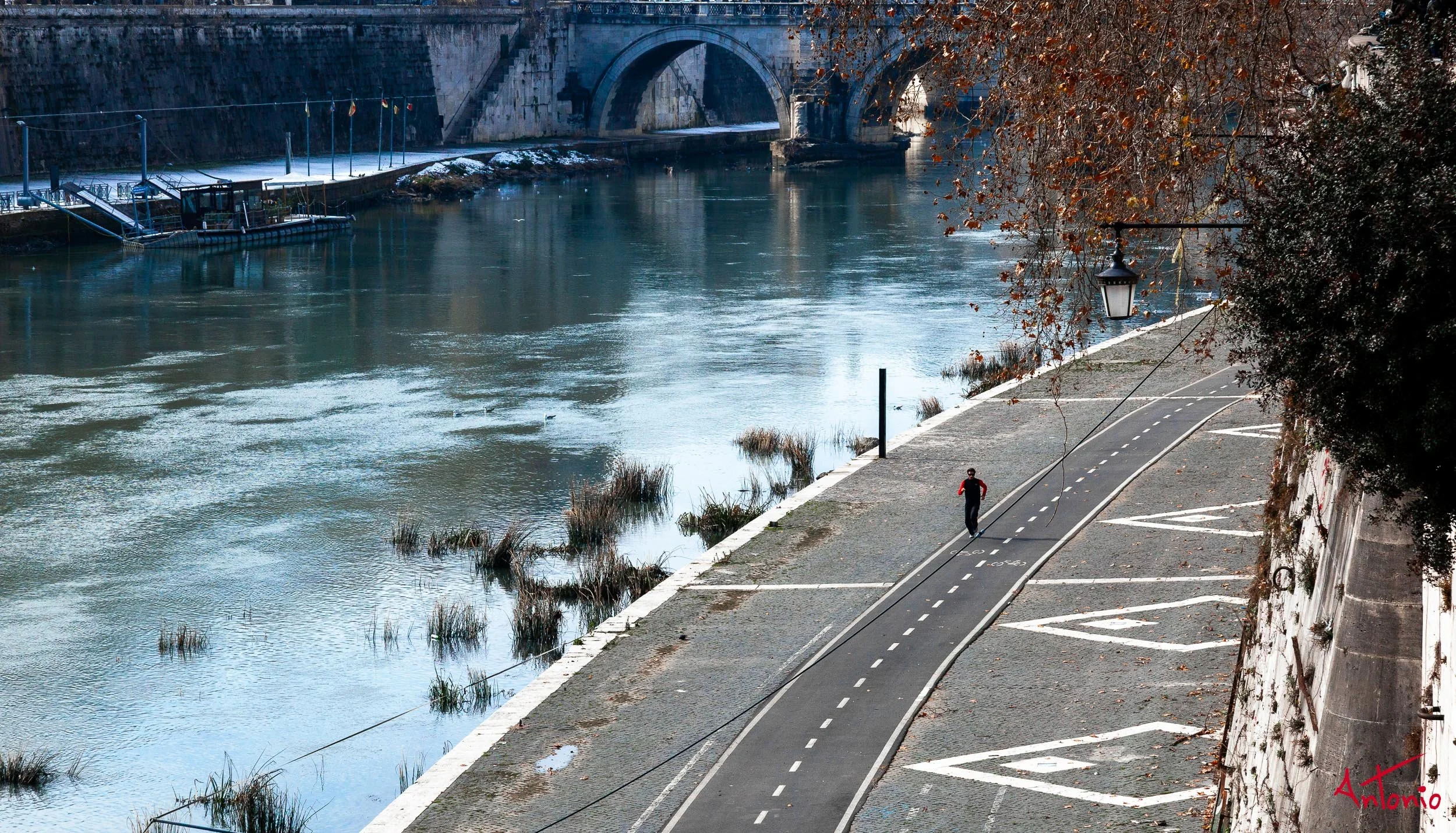 20120212_120316 Roma.jpg