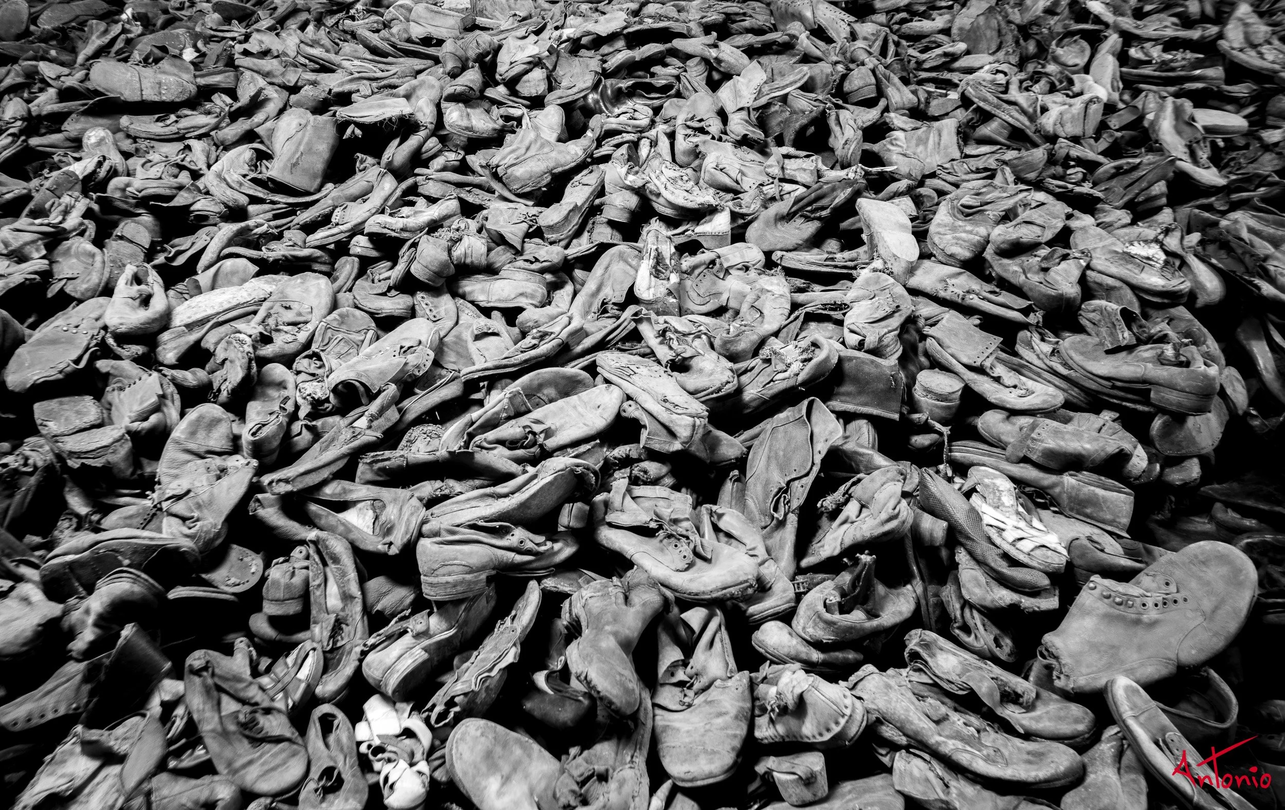 20240820_142318 B0006197 Auschwitz-Brinkenau, Polonia.jpg