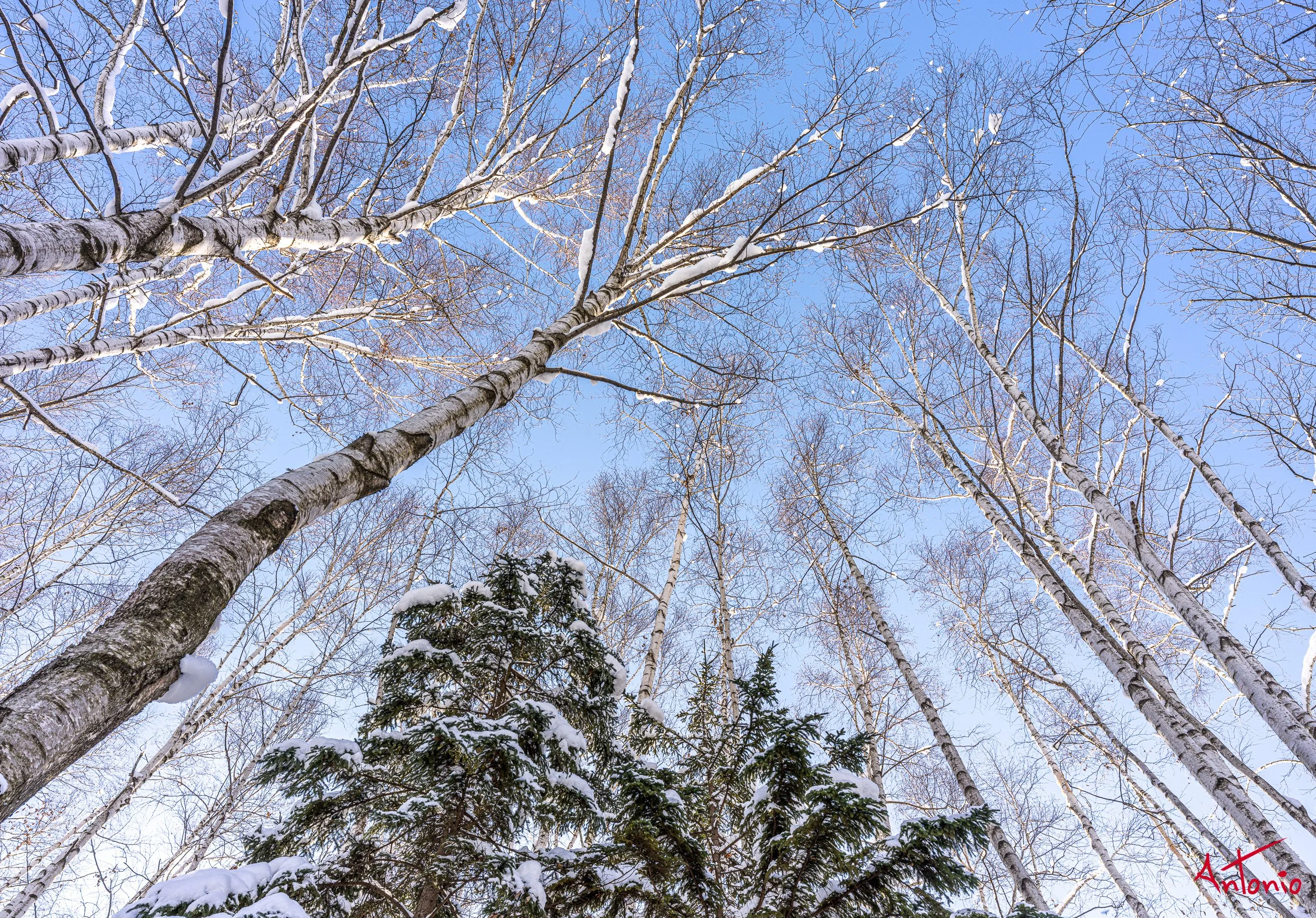 20240107_205444 B0002933 Hokaido, Japan.jpg