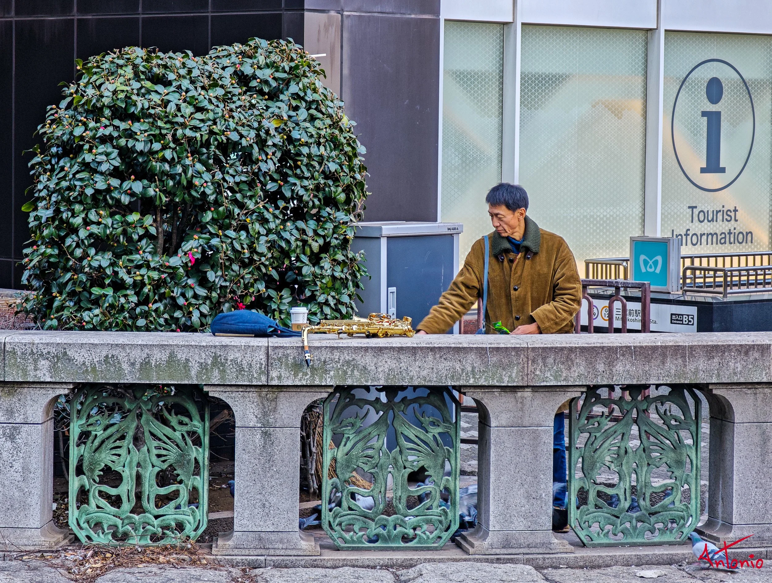 20260123_094622 Tokio, Japón.jpg