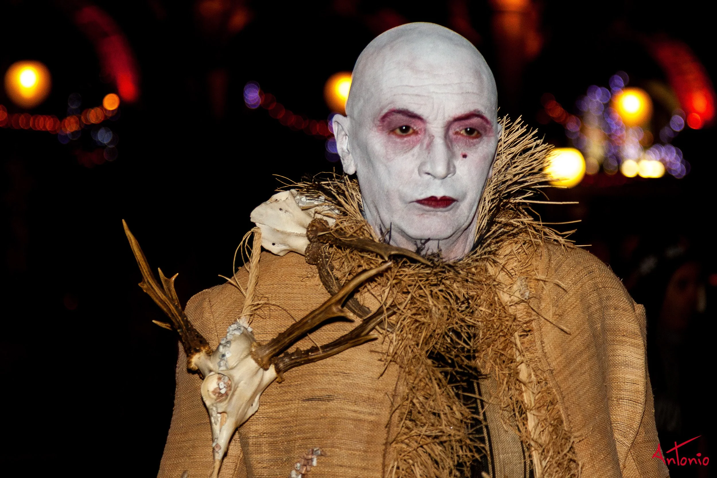 20120216_202722 Carnaval de venecia.jpg