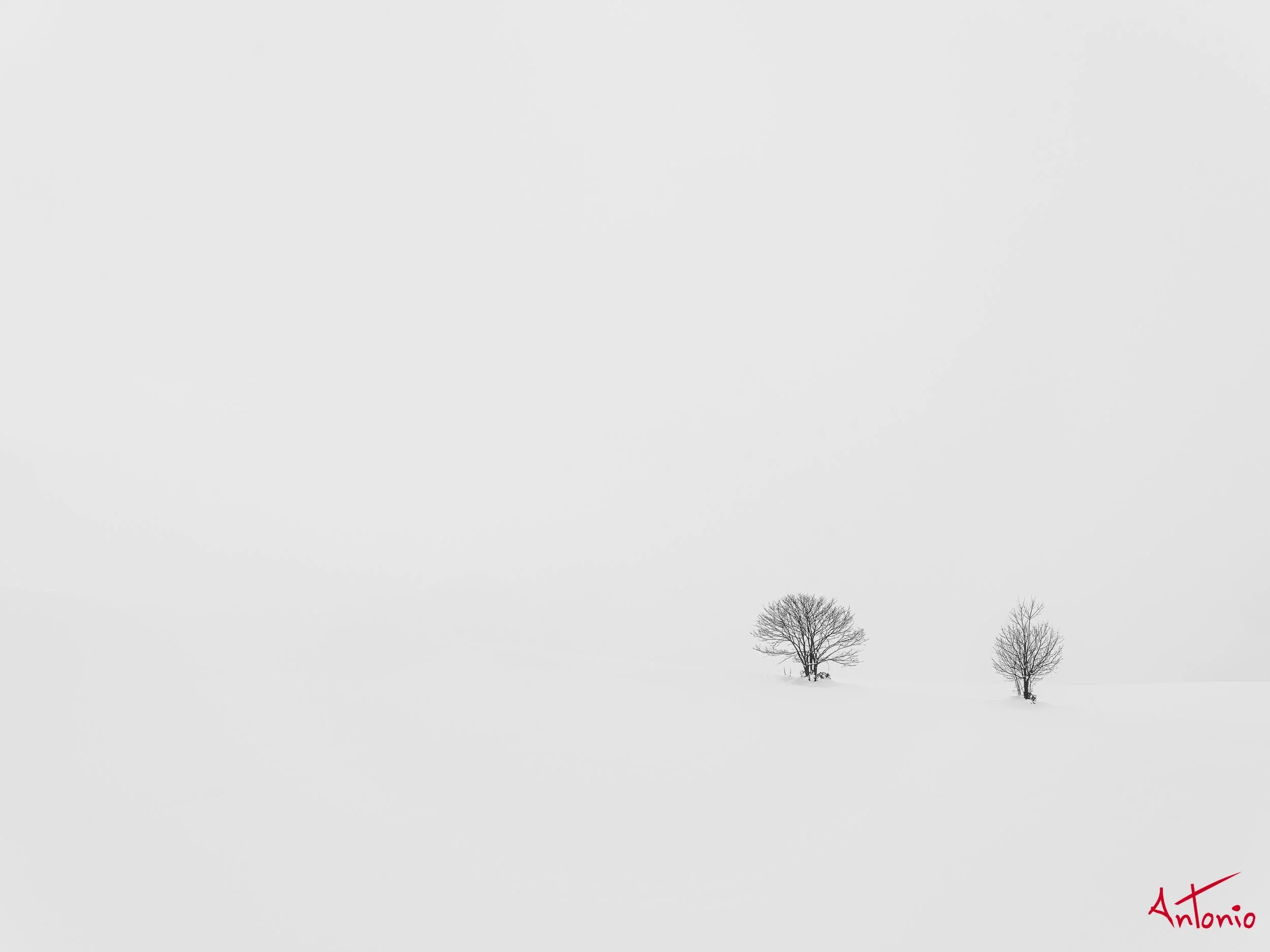 20240108_134525 B0002952 Hokaido.jpg