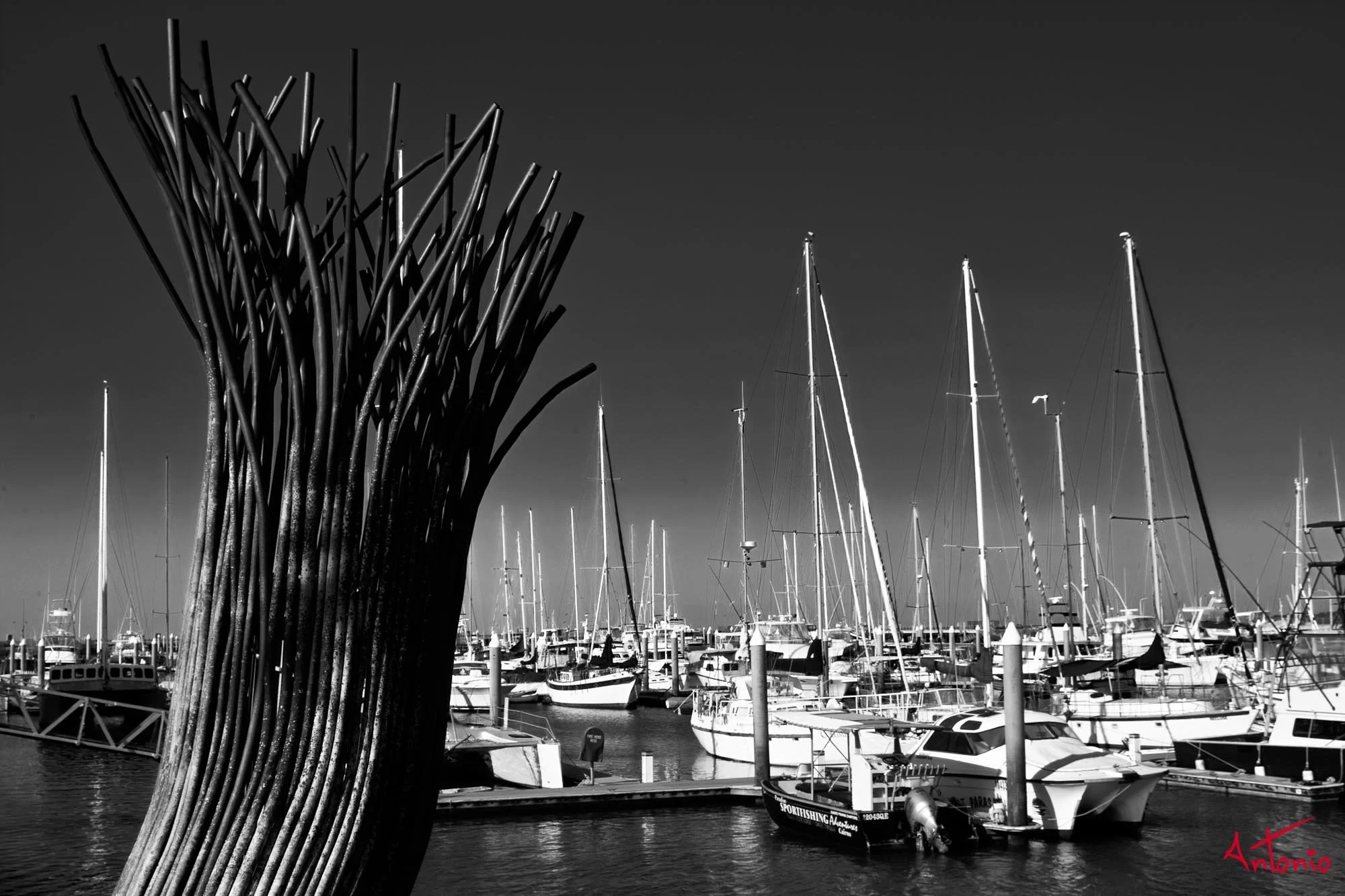 20031125_172502 Cairns.jpg