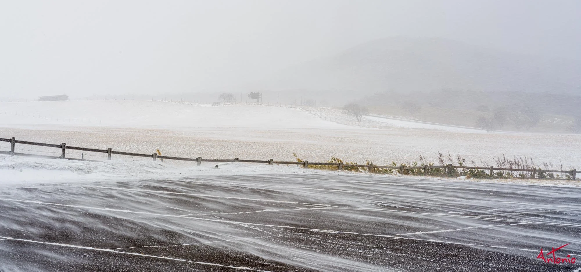 20240119_091926 B0004912 Hokaido.jpg