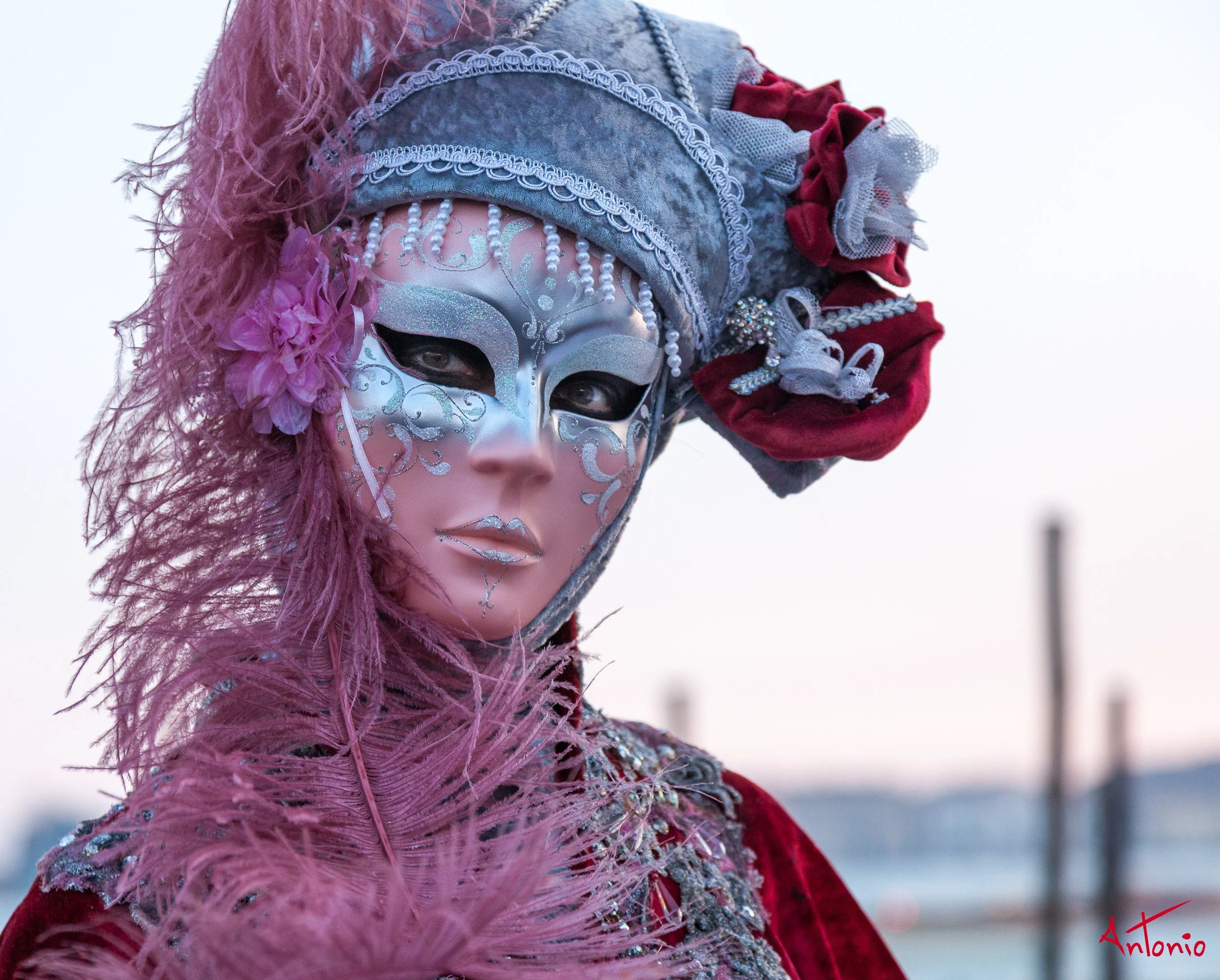 20120216_173103 Carnaval de venecia.jpg