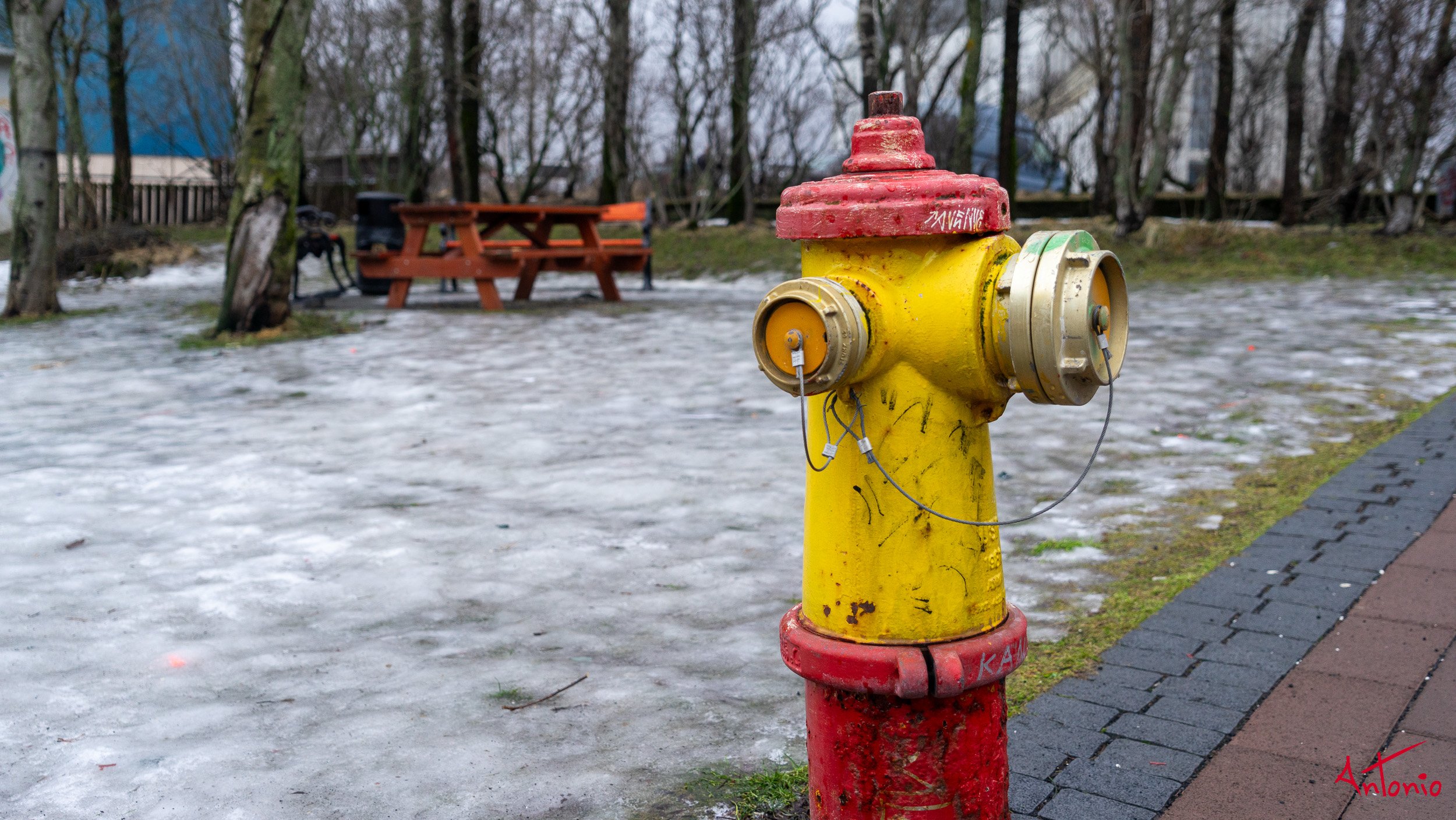 20150122_121203 Islandia.jpg