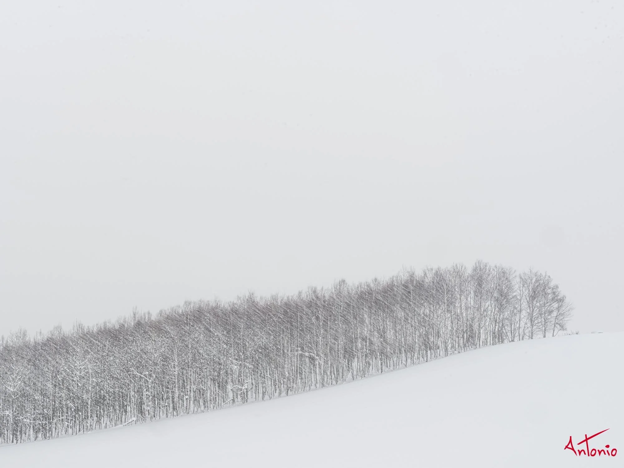 20240108_134847 B0002953 Hokaido.jpg