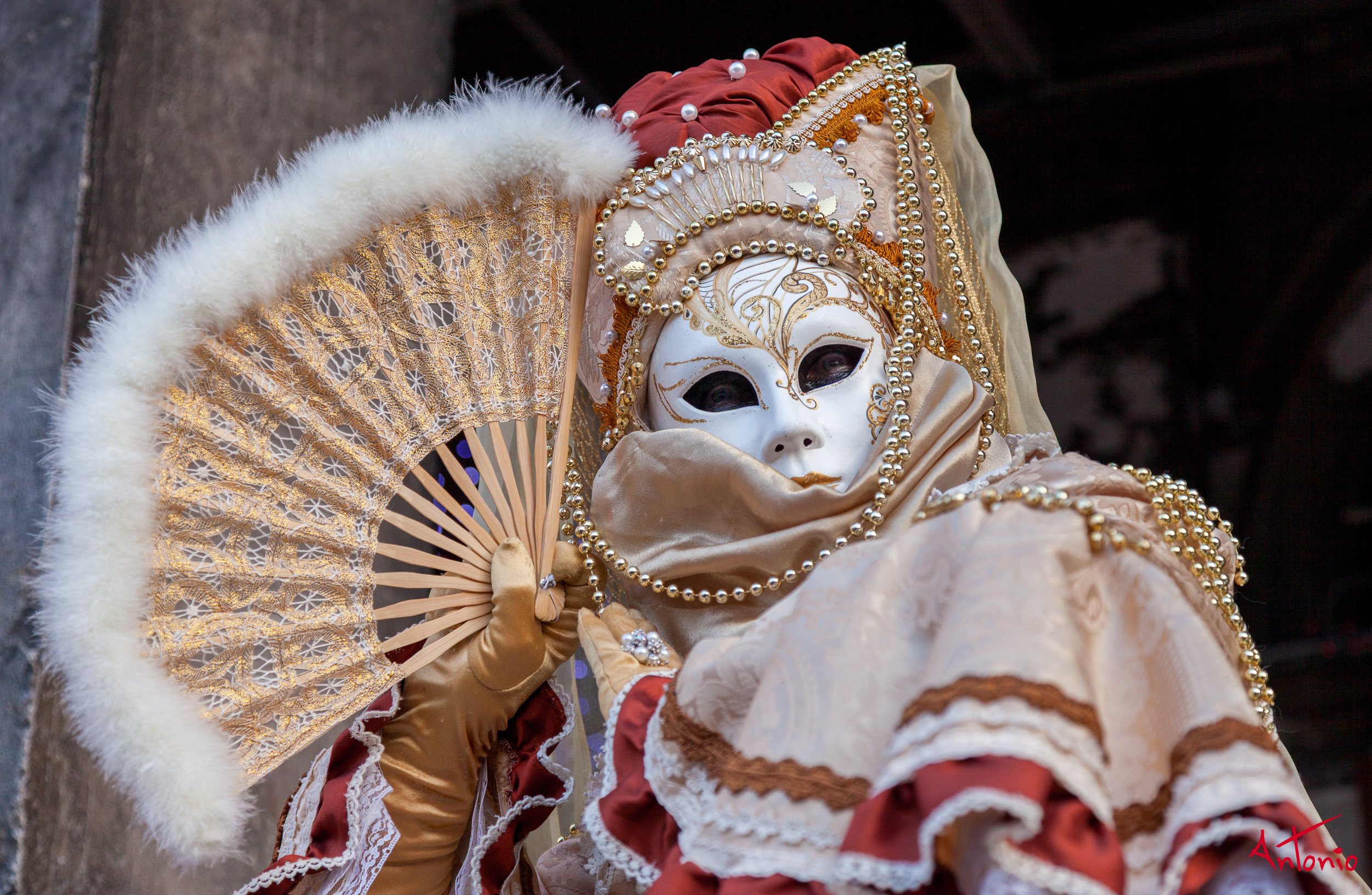 20120216_165528 Carnaval de venecia.jpg