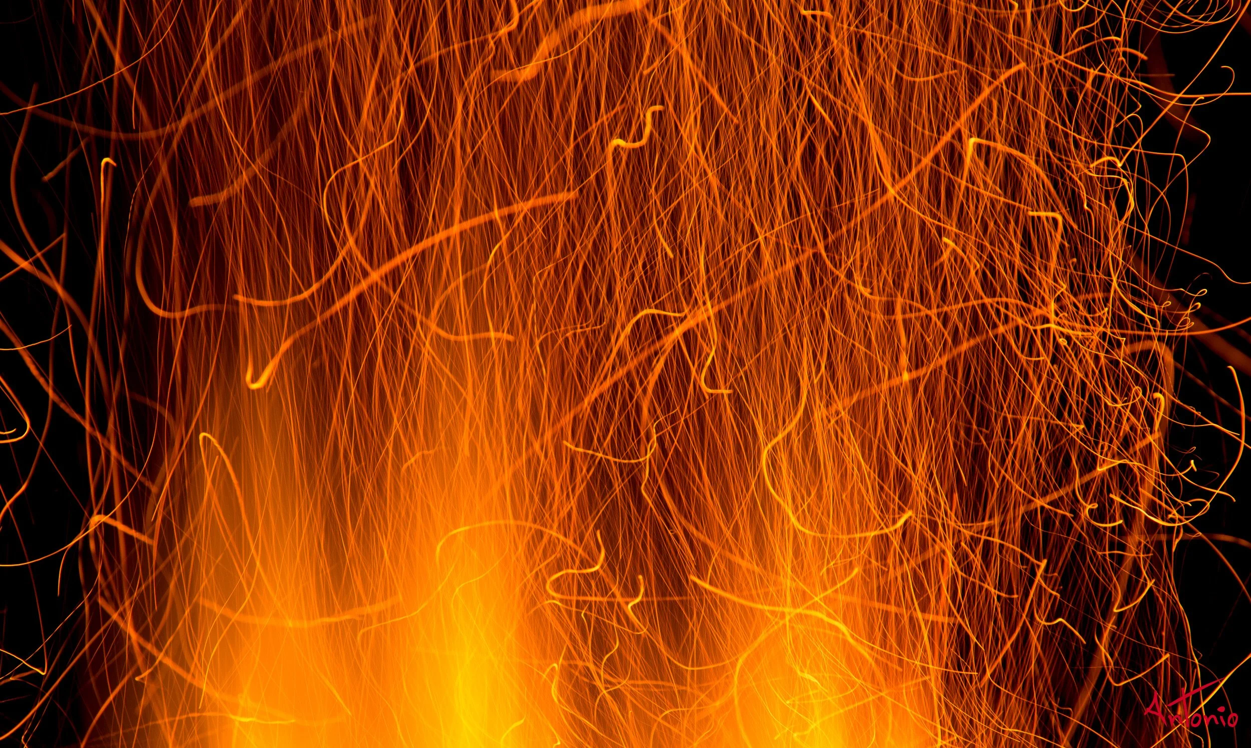 20121127_184838 Ranthambhore.jpg