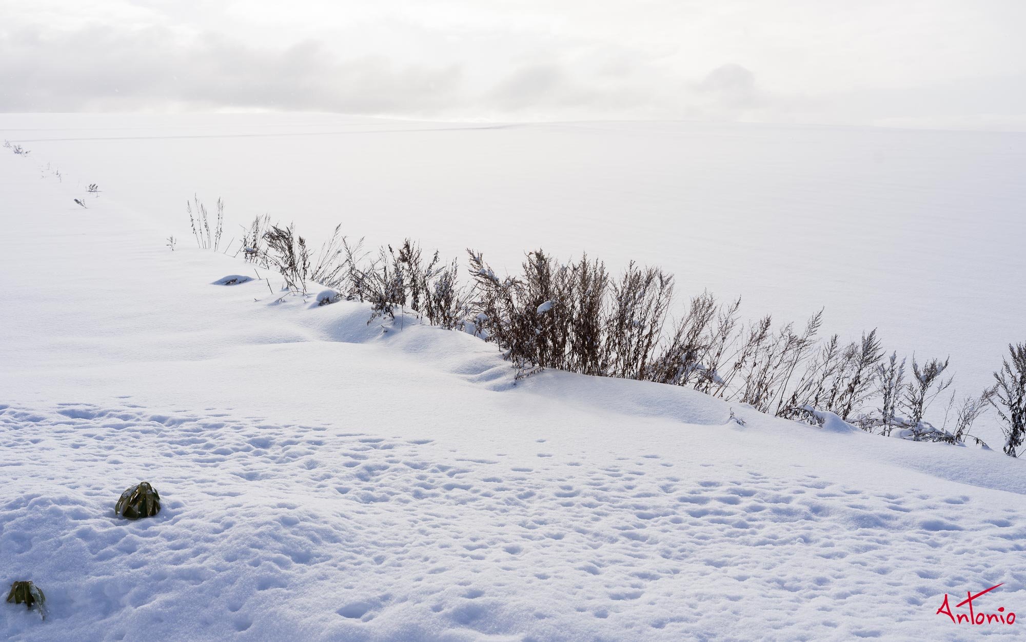 20240108_095307 B0002735 Hokaido.jpg