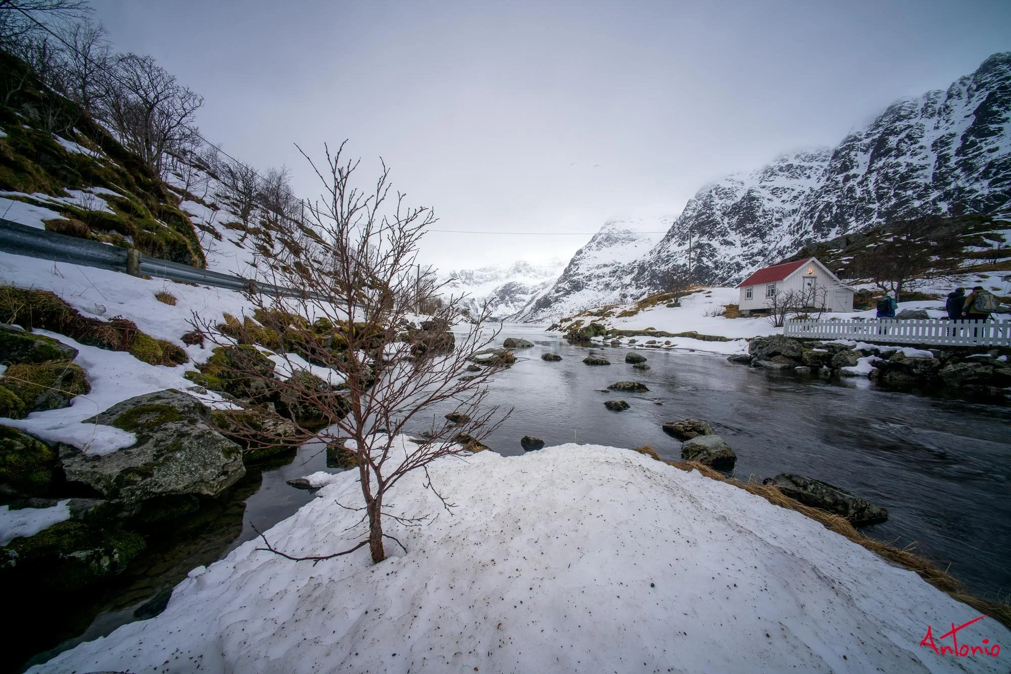 20160218_105843 Lofoten.jpg