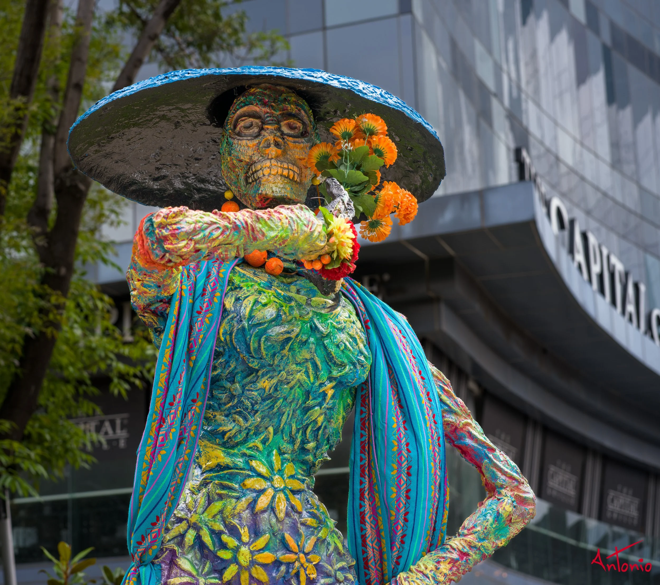 20241027_125610 B0006723 Catrinas.jpg