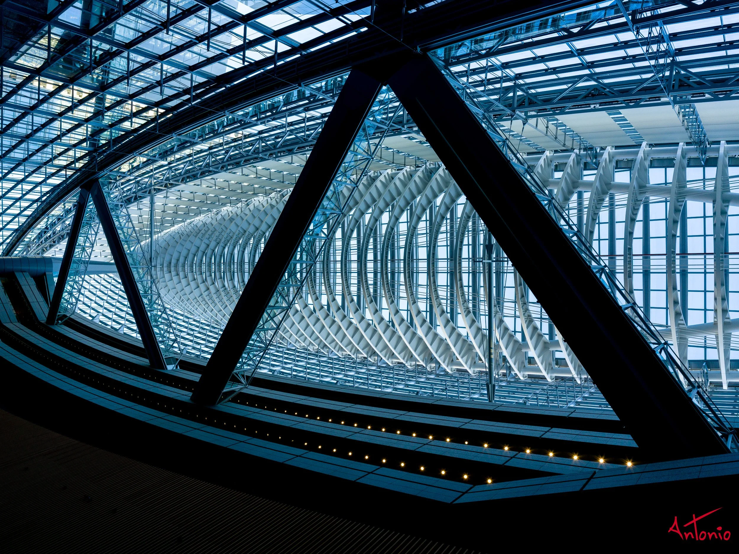 20240123_145357 B0002321 Tokyo.jpg