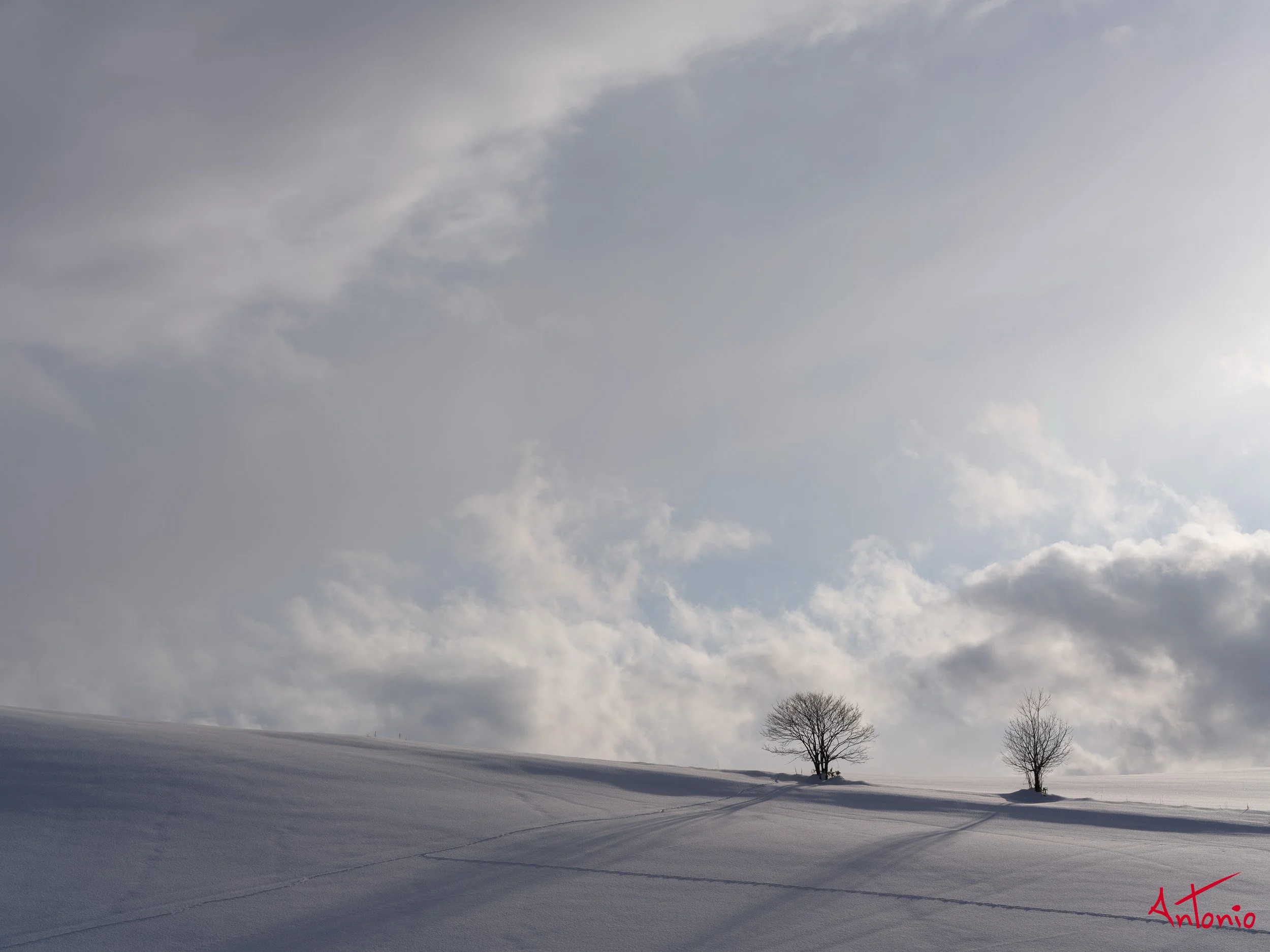 20240107_233356 B0002997 Hokaido, Japan.jpg