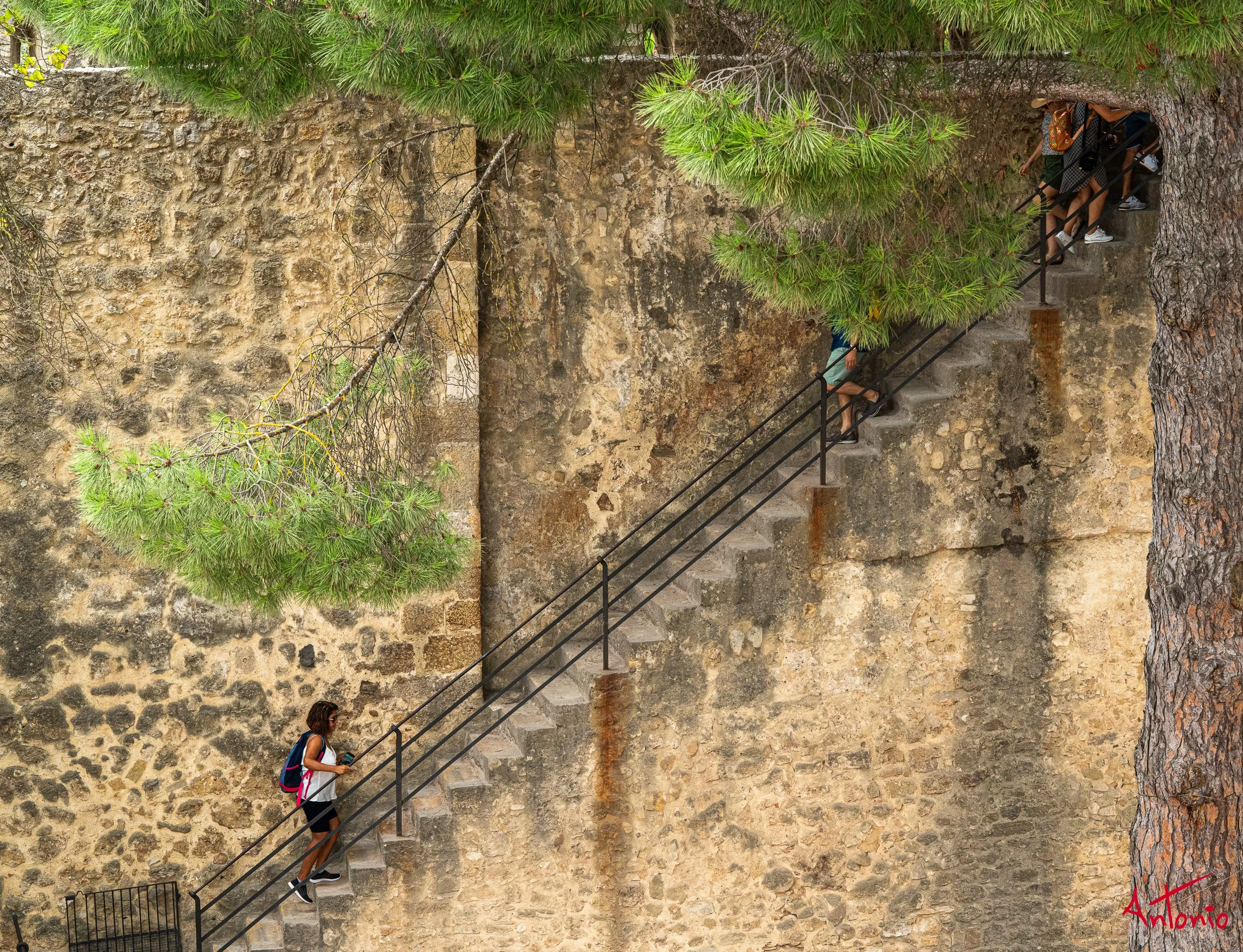 20190915_062822 Lisboa.jpg