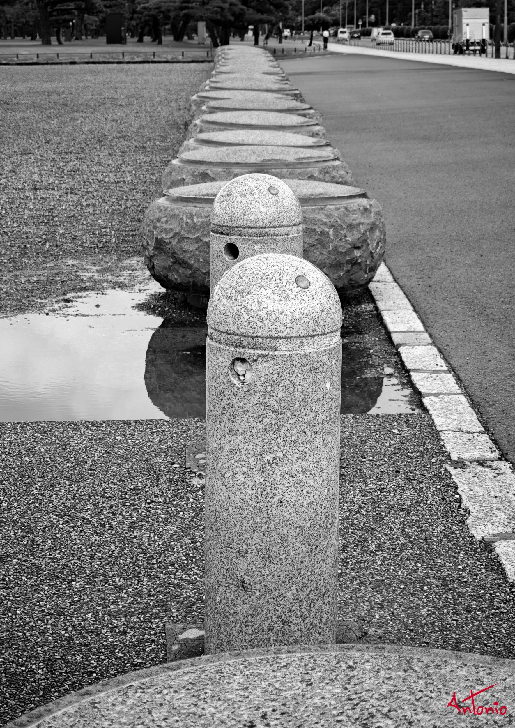 20250714_121939 Tokyo, Japan.jpg