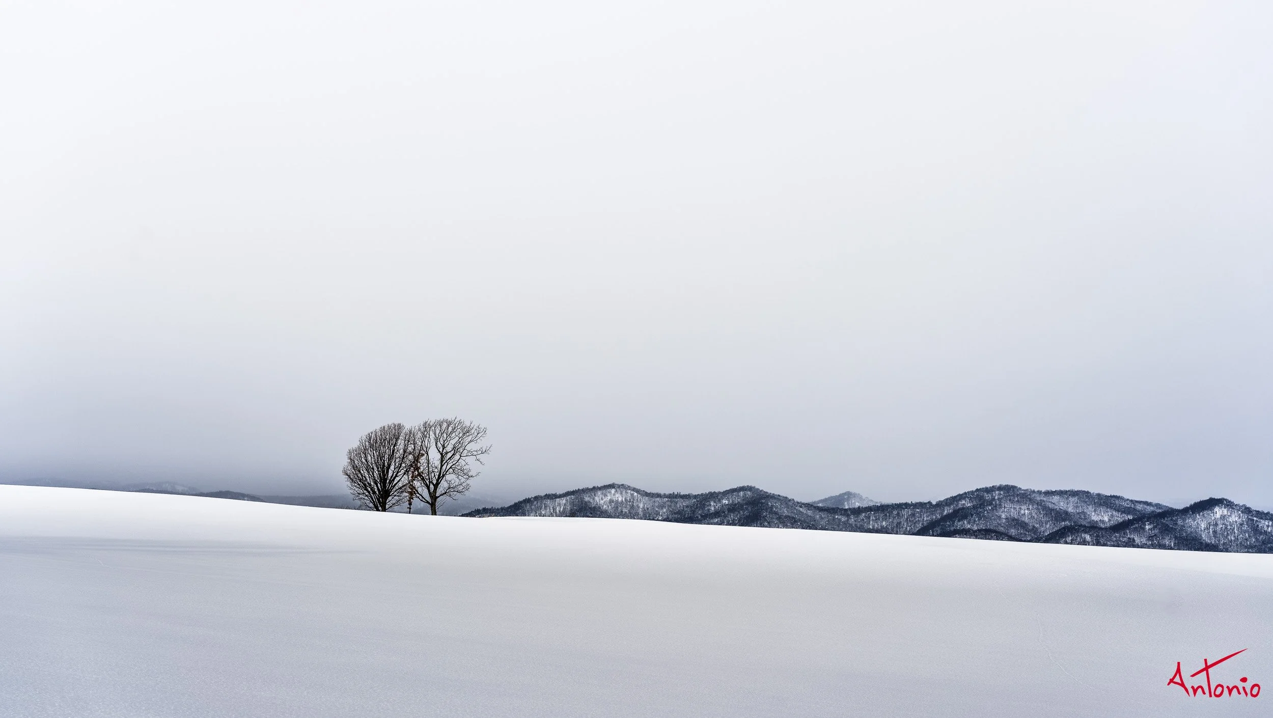 20240108_183354 B0003079 Hokaido, Japan.jpg