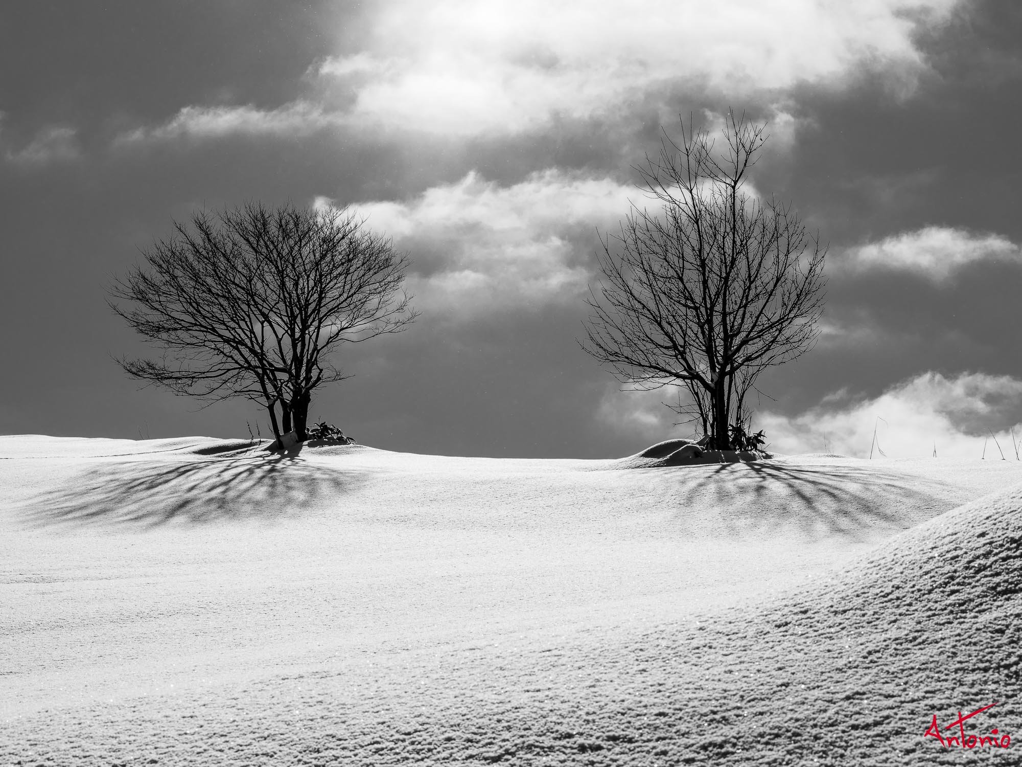 20240108_110034 B0002850 Hokaido.jpg