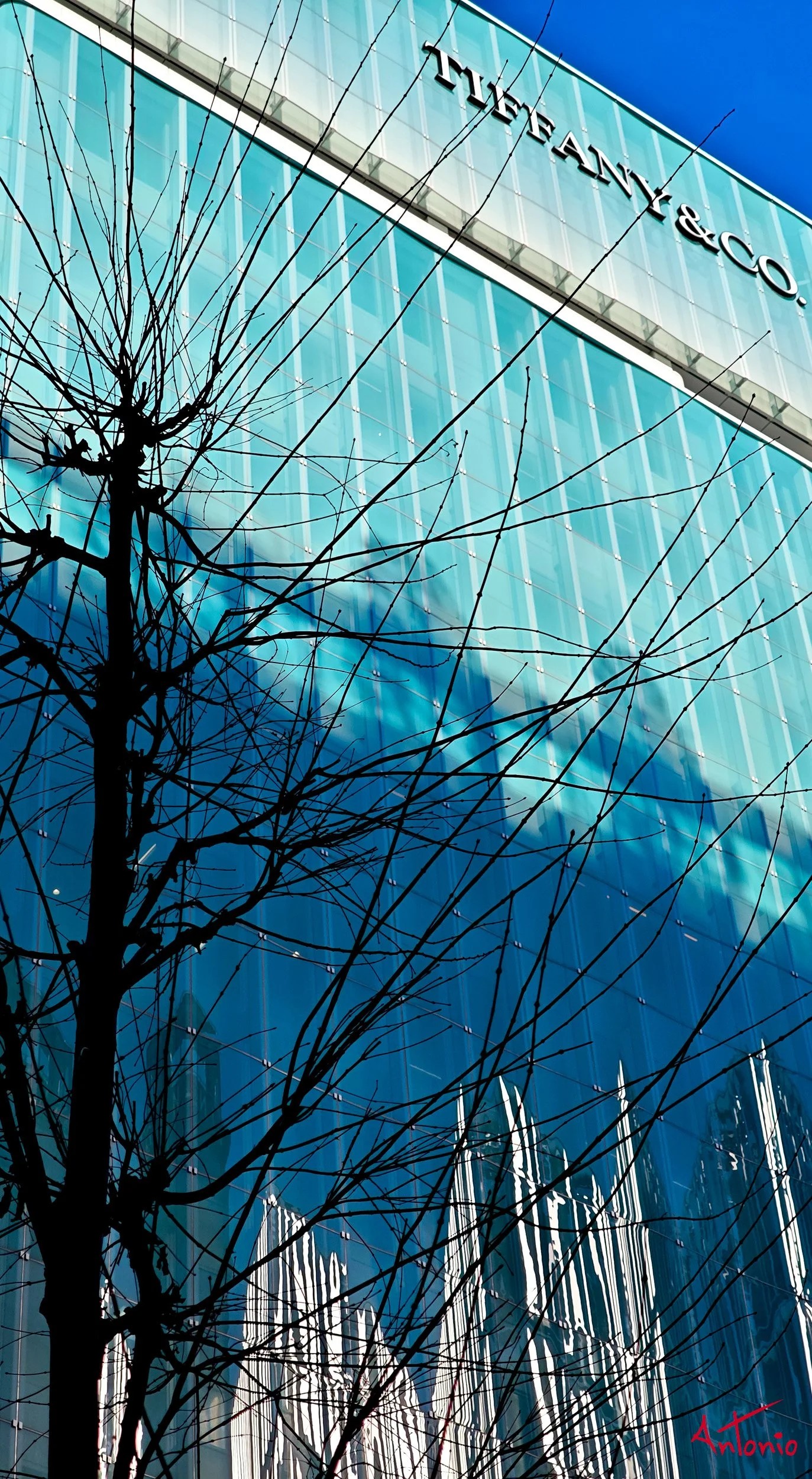 20260124_101052 Tokio, Japón.jpg