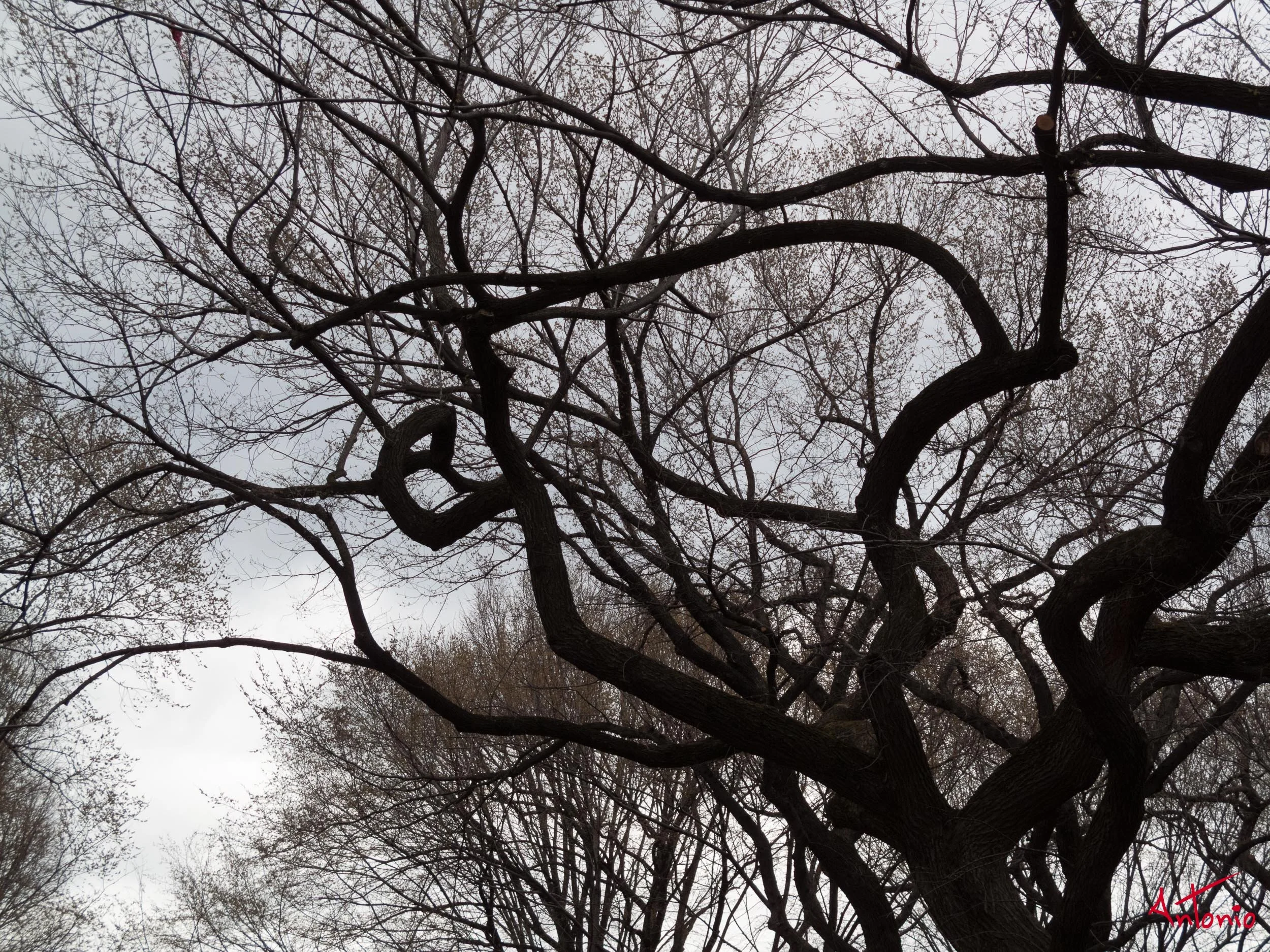 20080404_122004 New York.jpg