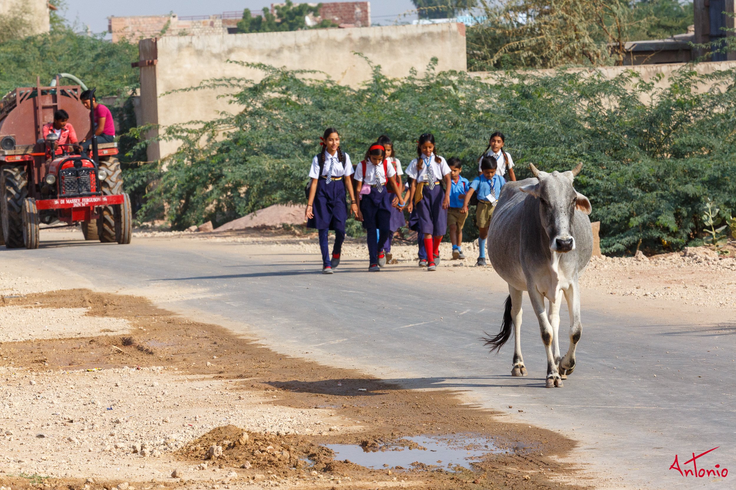 20121122_095929 India_Jamba.jpg