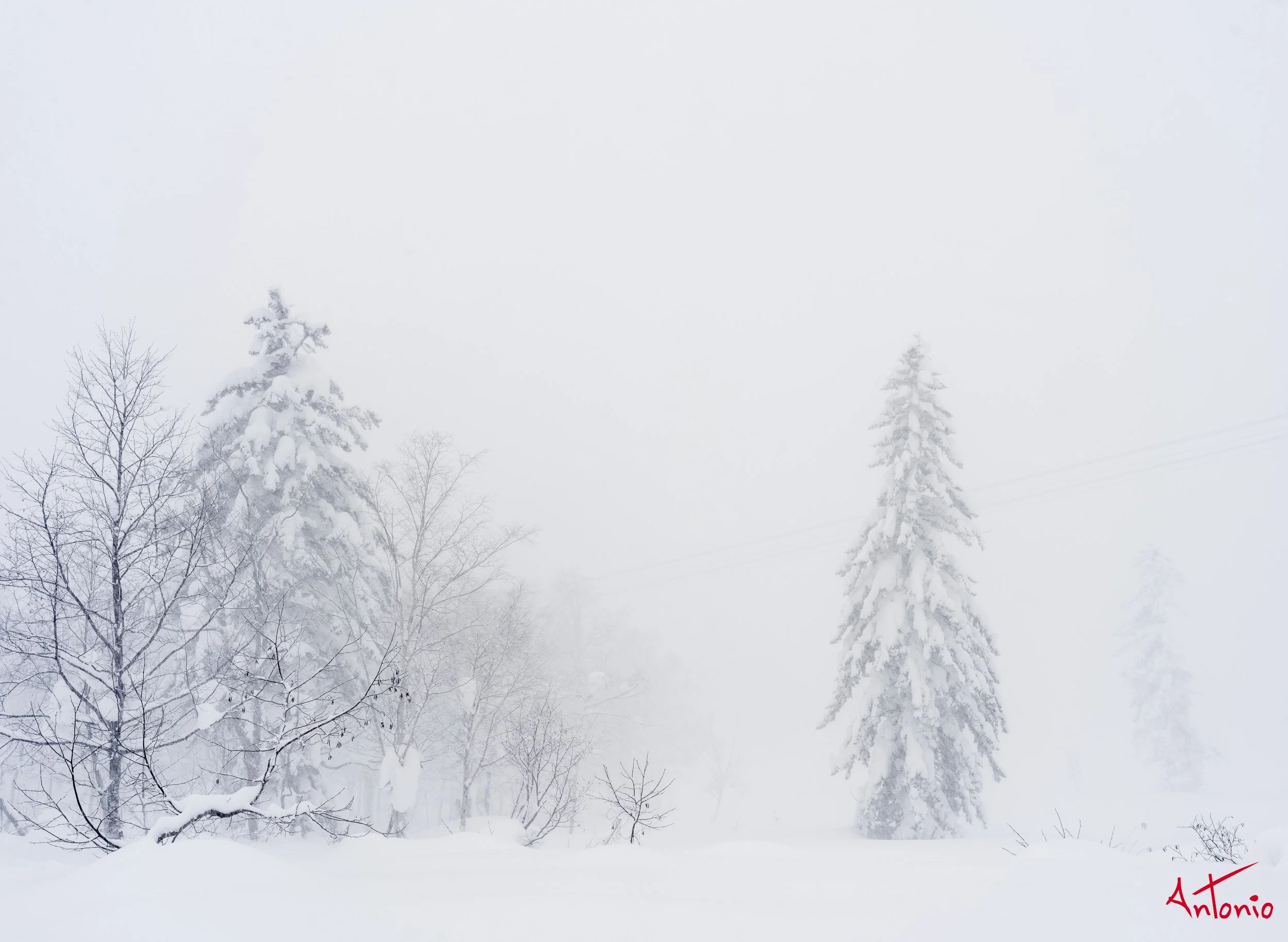 20240109_211738 B0003341 Hokaido, Japan.jpg