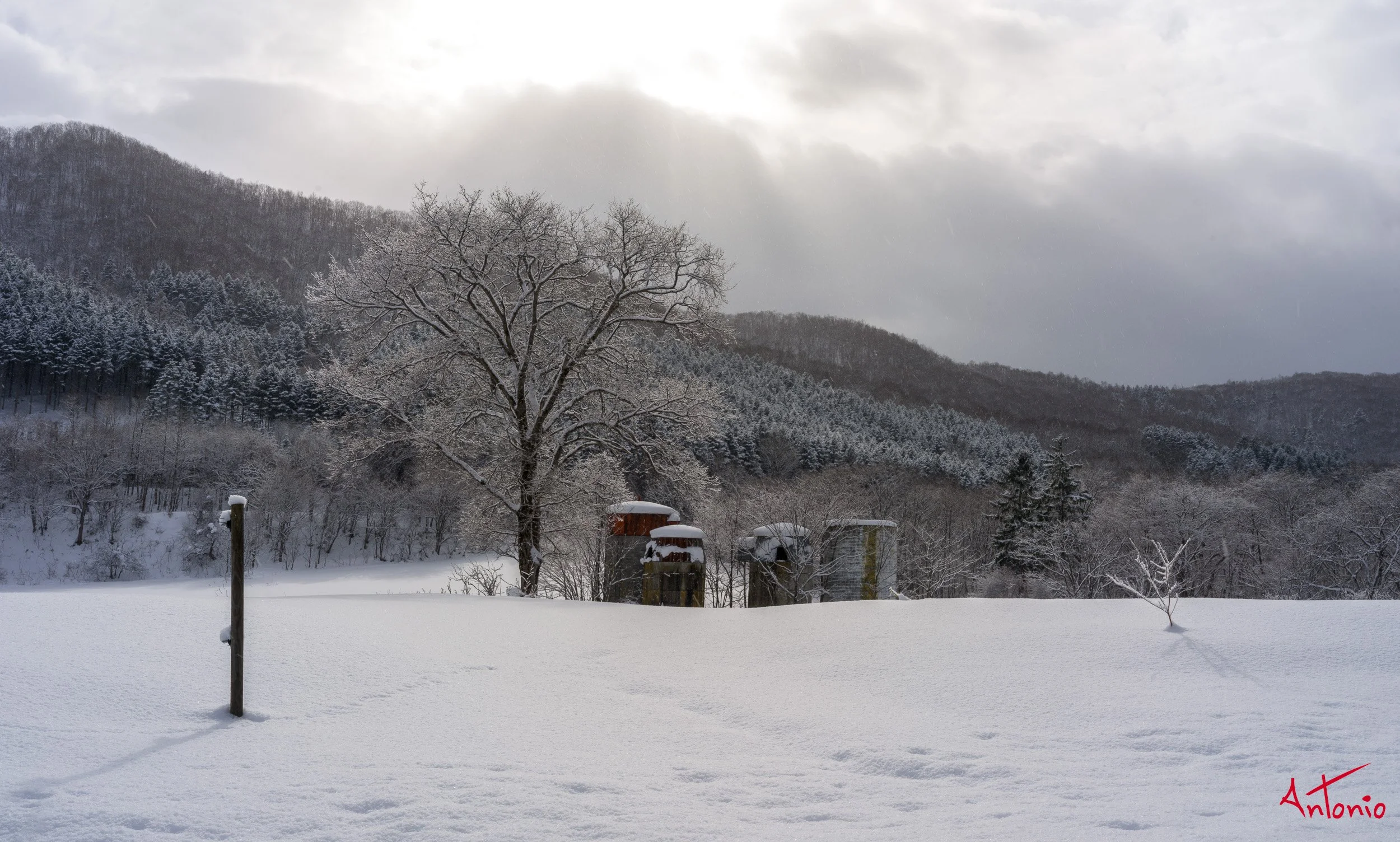 20240116_201240 B0004700 Hokaido, Japan.jpg