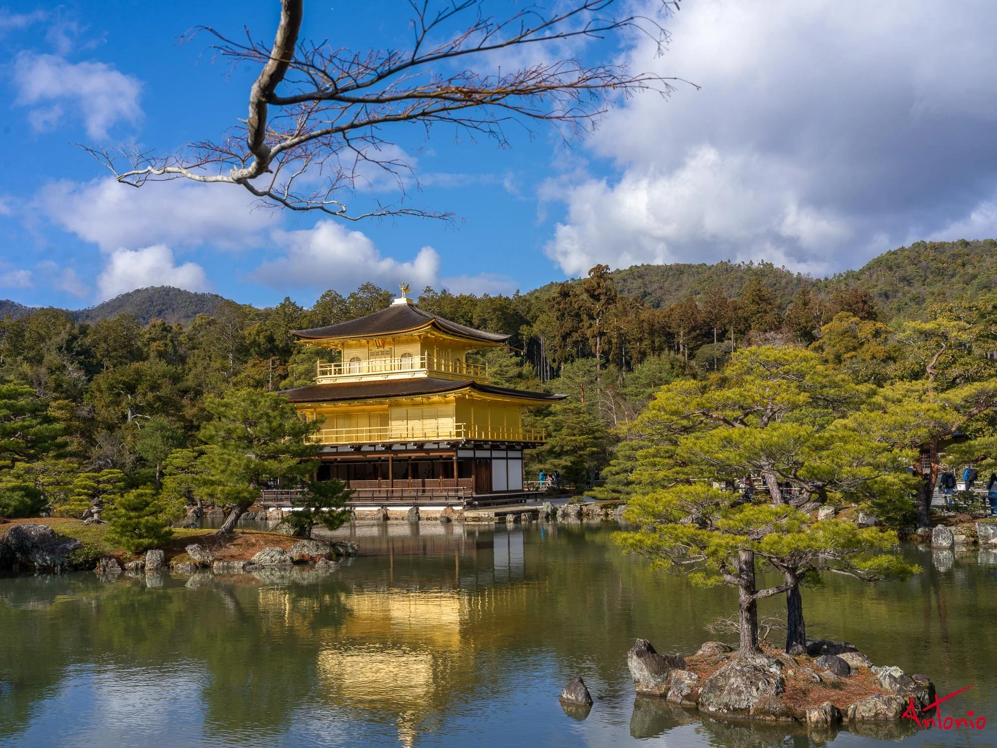 20240104_134557 B0001949 Kyoto.jpg