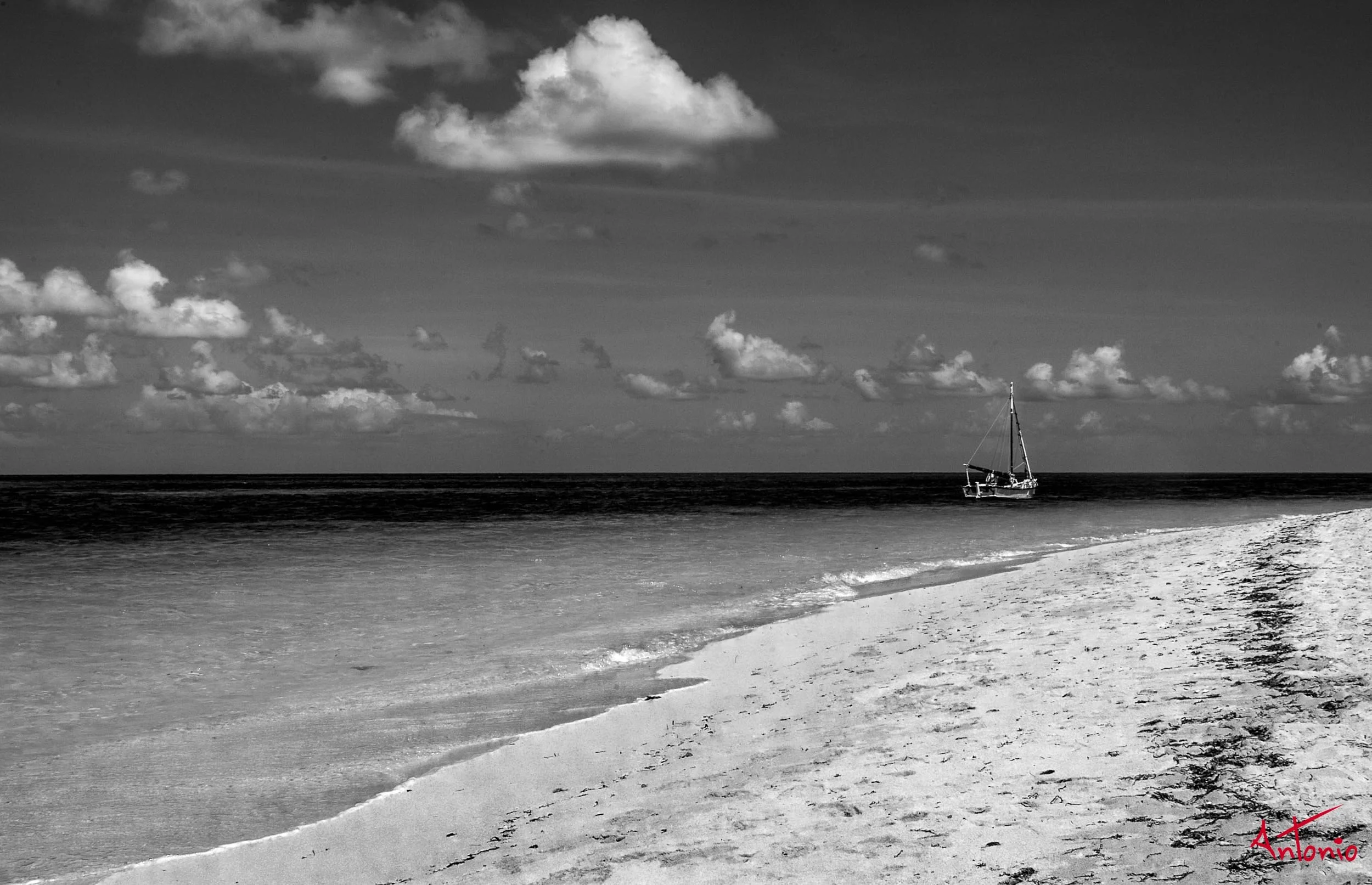 20031127_150815 Cairns.jpg