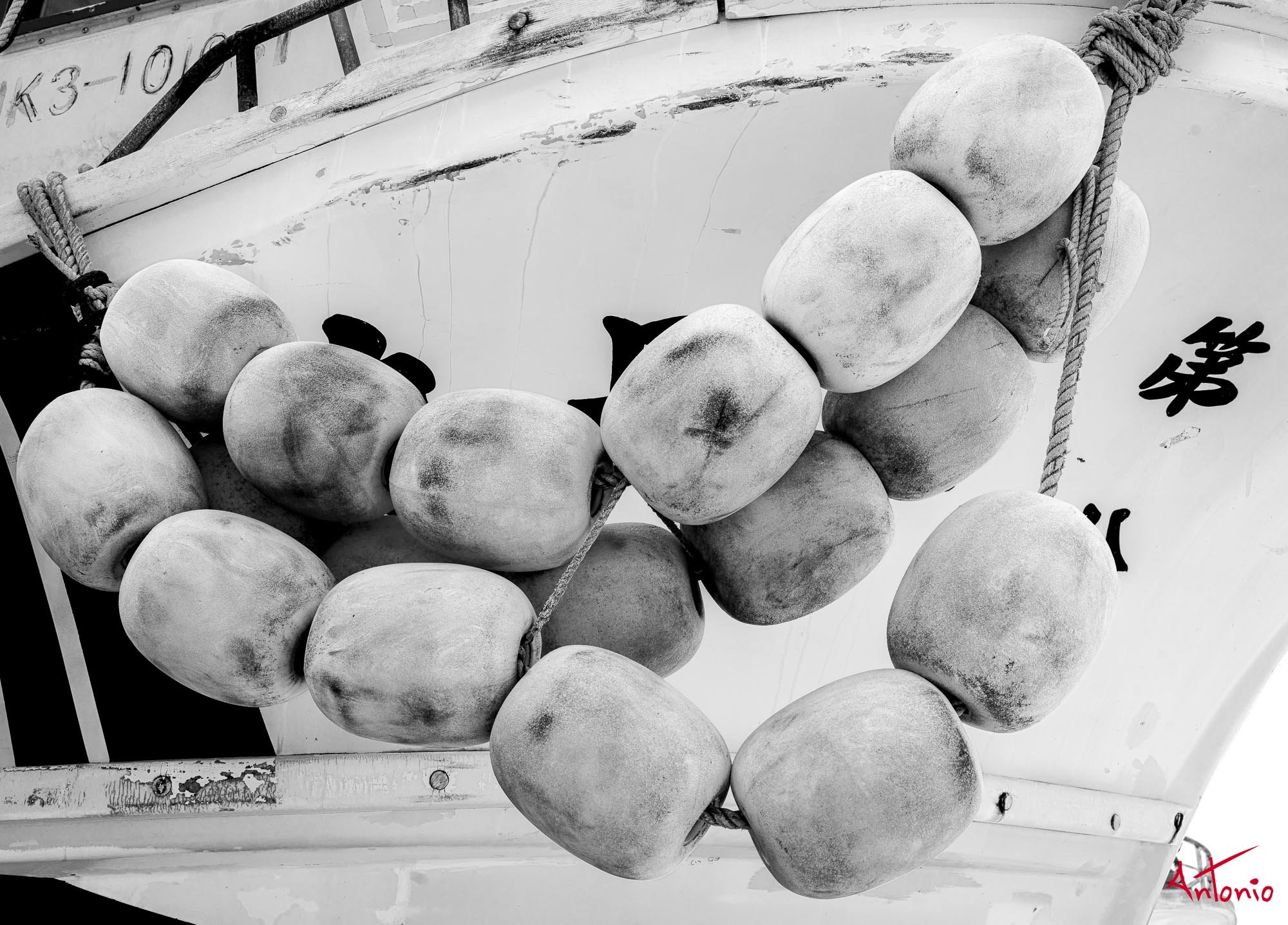 20240117_154349 B0004727 Hokaido.jpg