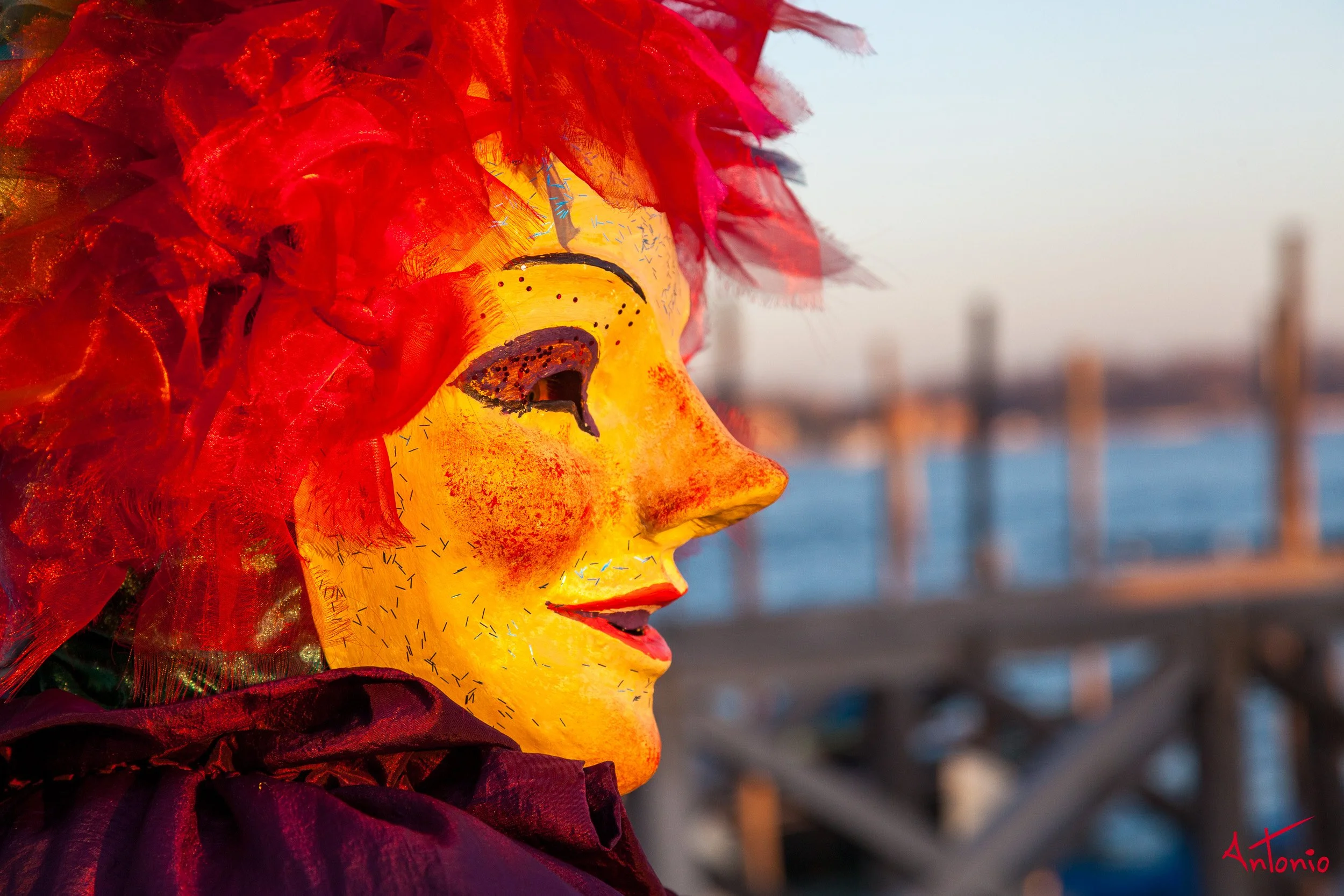 20120217_170348 Carnaval de venecia.jpg