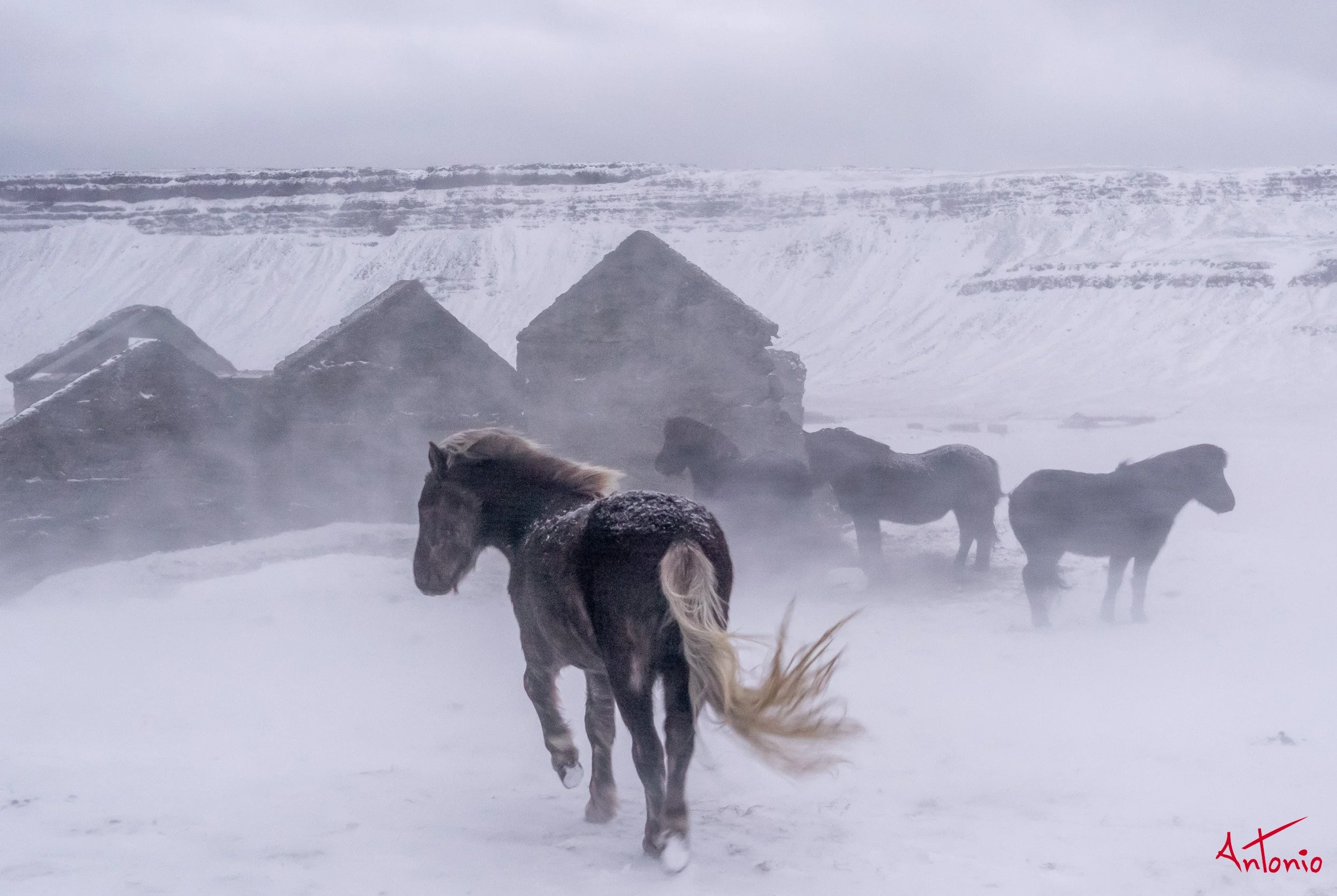 20150116_165544 Islandia.jpg