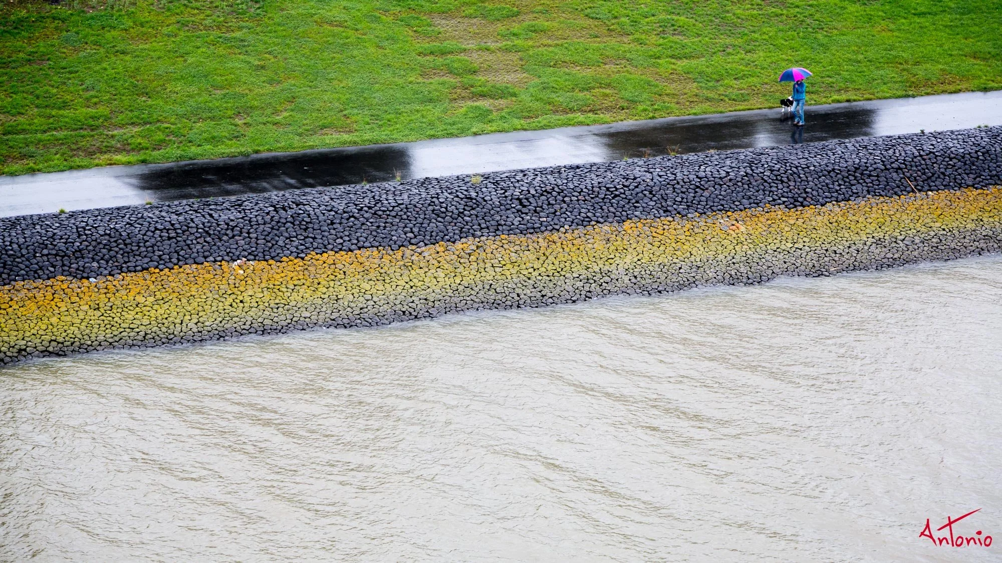 20130909_160813 SilverWhisper.jpg