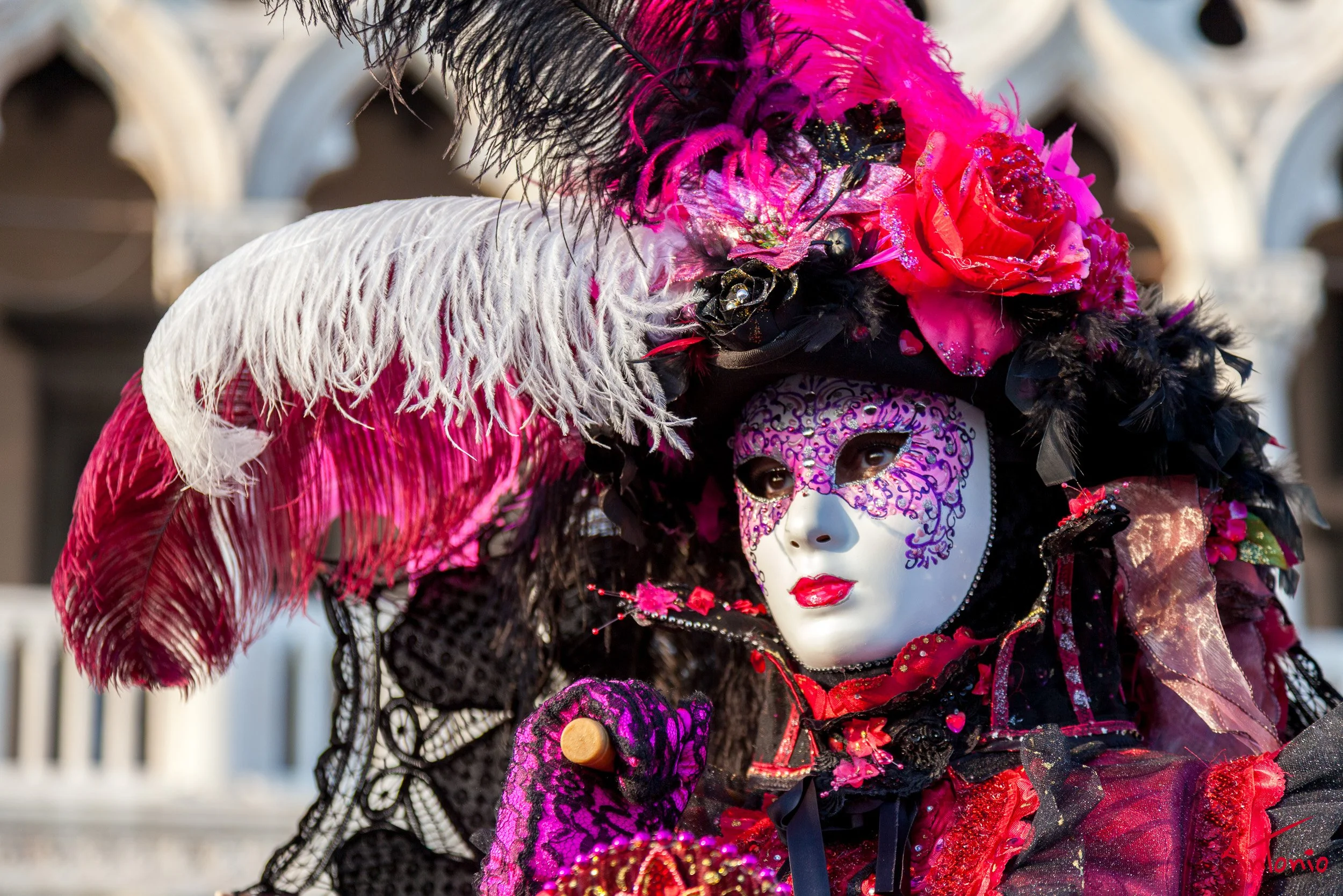 20120216_161647 Carnaval de venecia.jpg