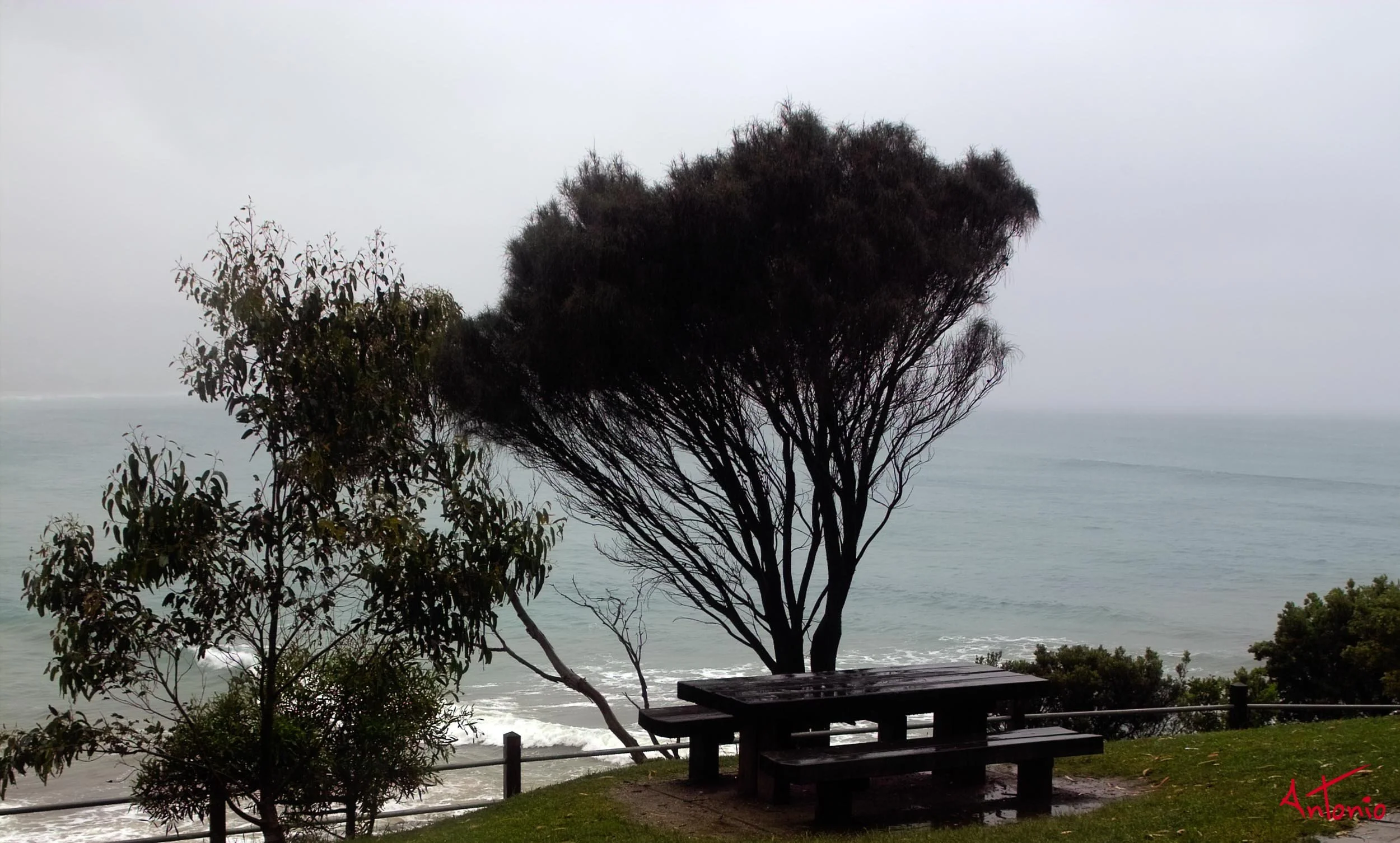 20031122_104037 Melbourne.jpg