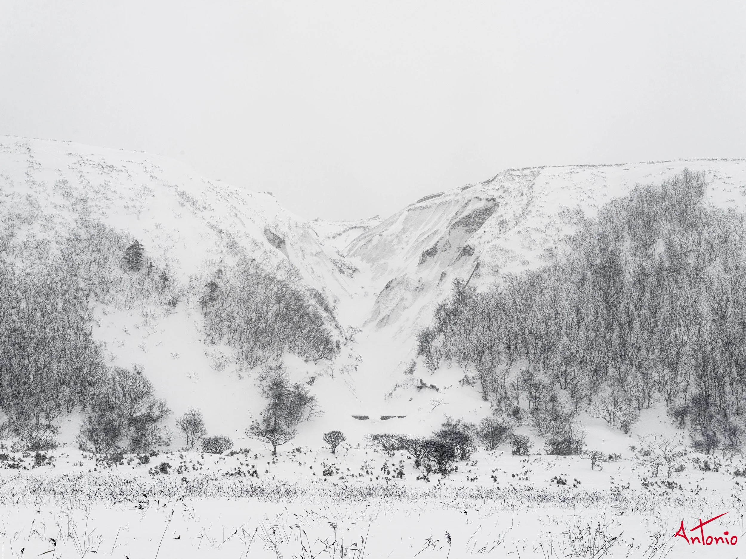 20240113_235632 B0004351 Hokaido, Japan.jpg