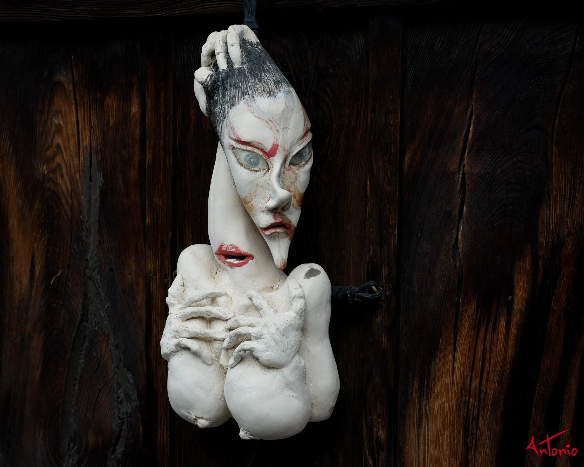 20240103_113018 B0001555 Kyoto.jpg