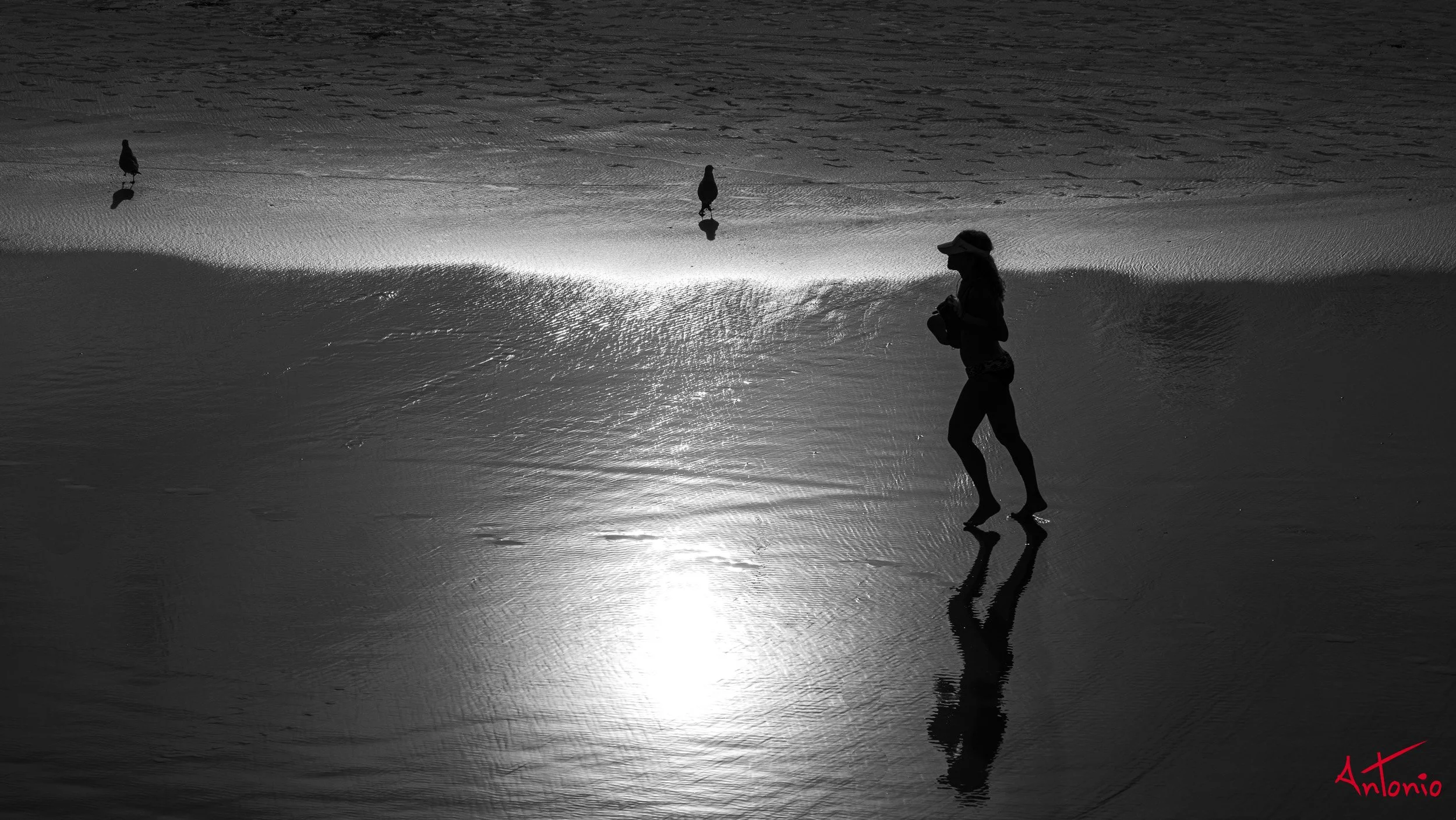 20141228_143334 Daytona Beach.jpg