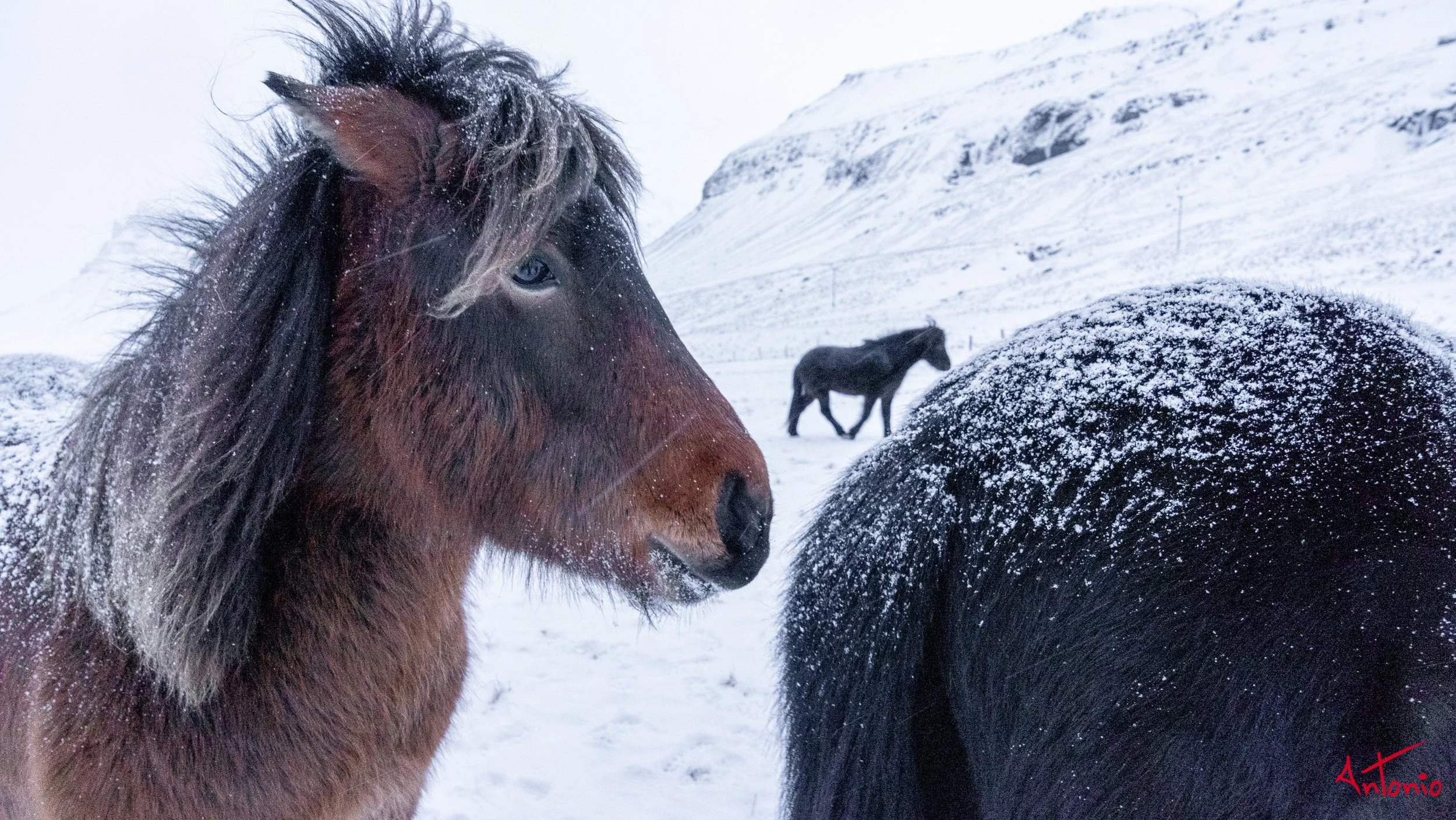 20150116_163153 Islandia.jpg