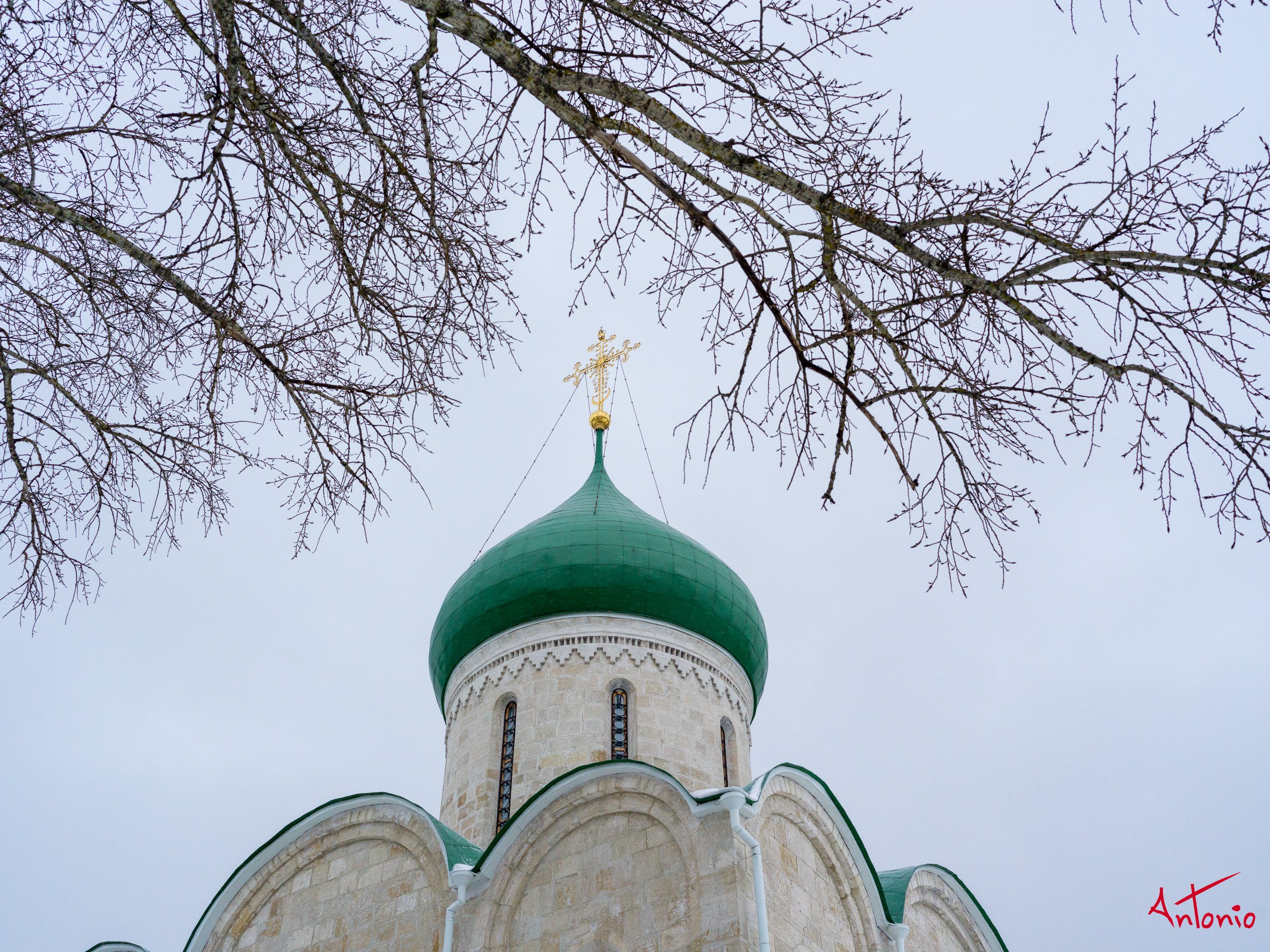 20200211_064500 B0000751 Lago Pleshcheyevo, Rusia.jpg