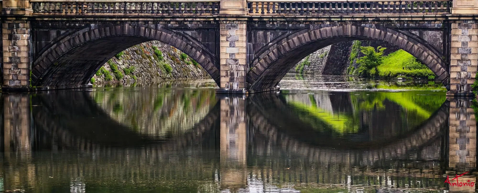 20250714_120954 Tokyo, Japan.jpg