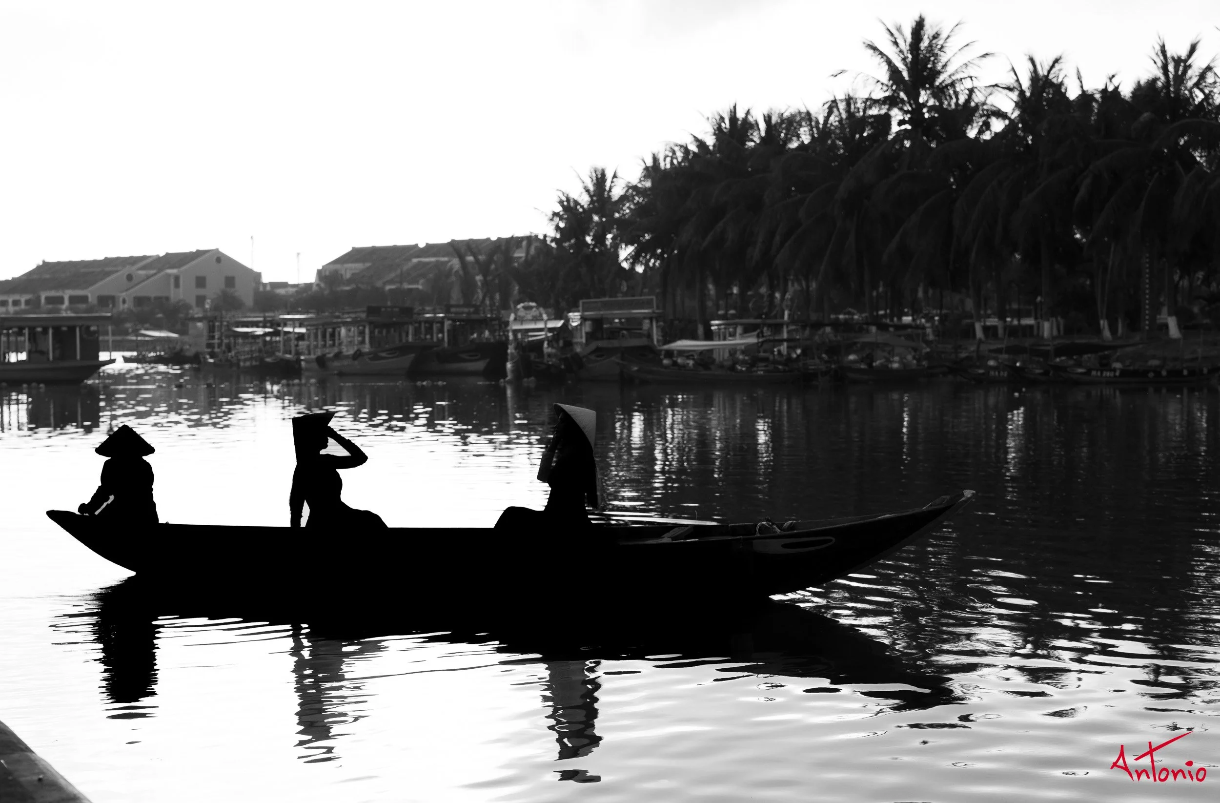 20260128_071919 B0009513 Hoi An, Vietnam.jpg